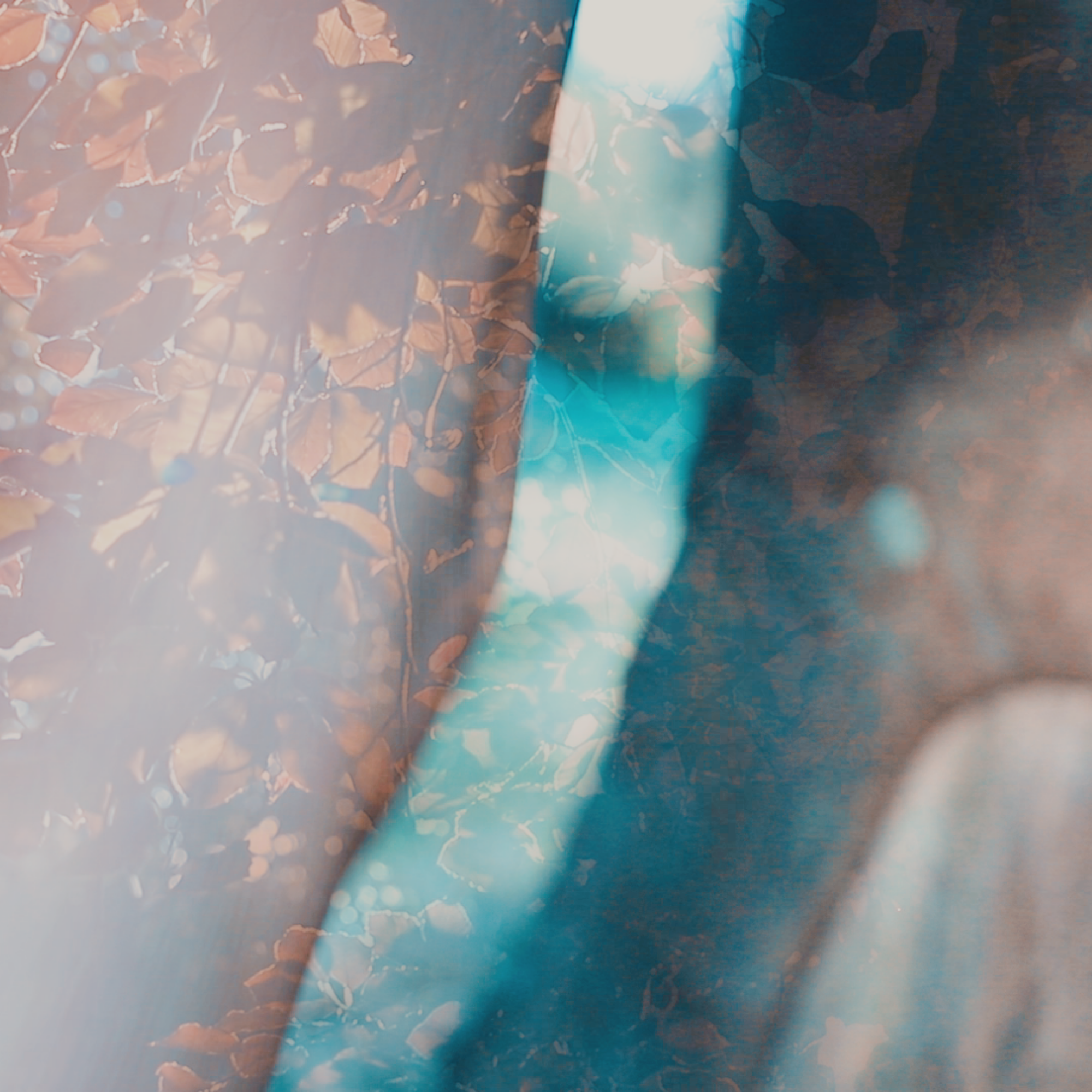 Fine art print with gentle tones, perfect for creating a calm atmosphere