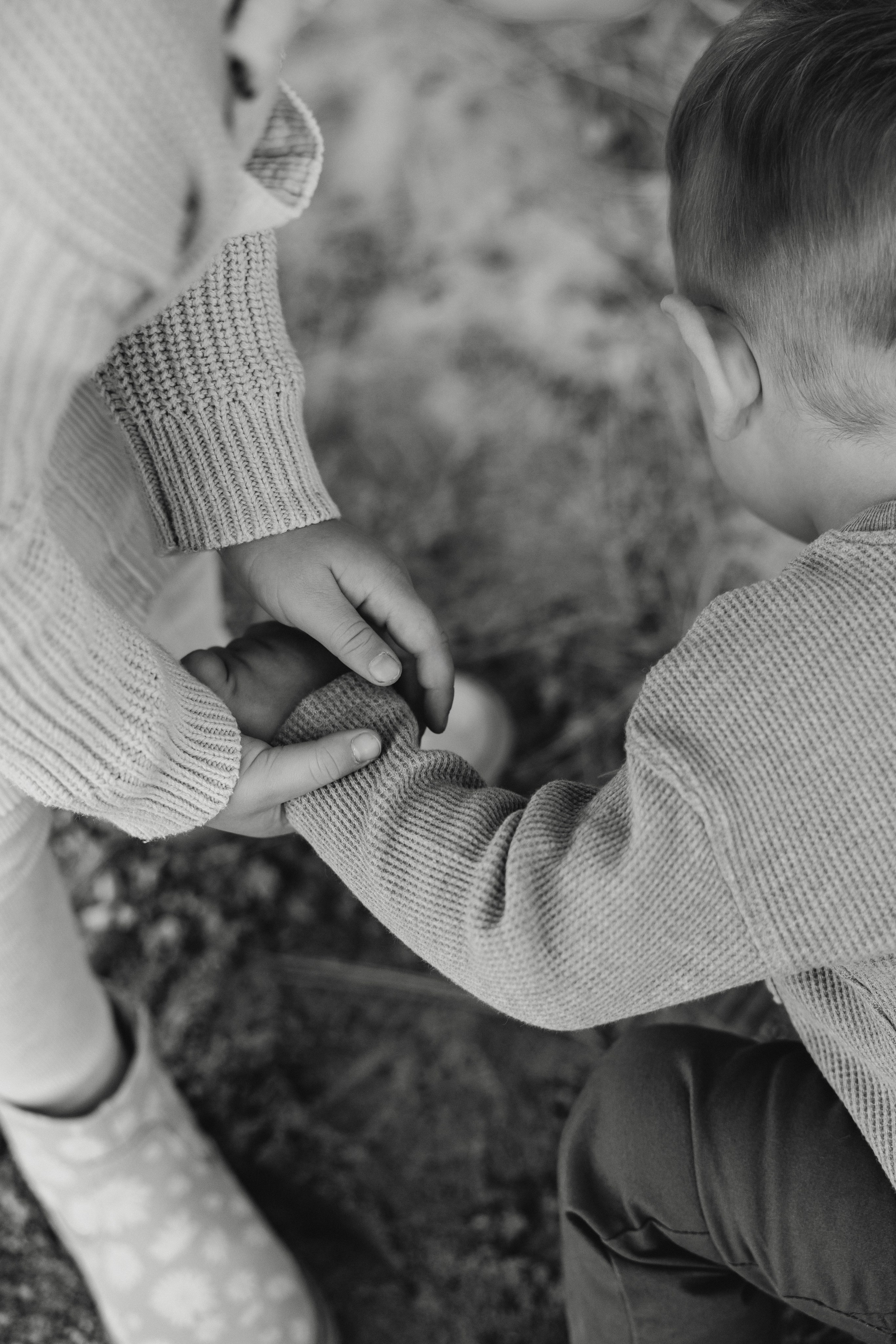 Families. ArtFeather Photography. Sacramento, California