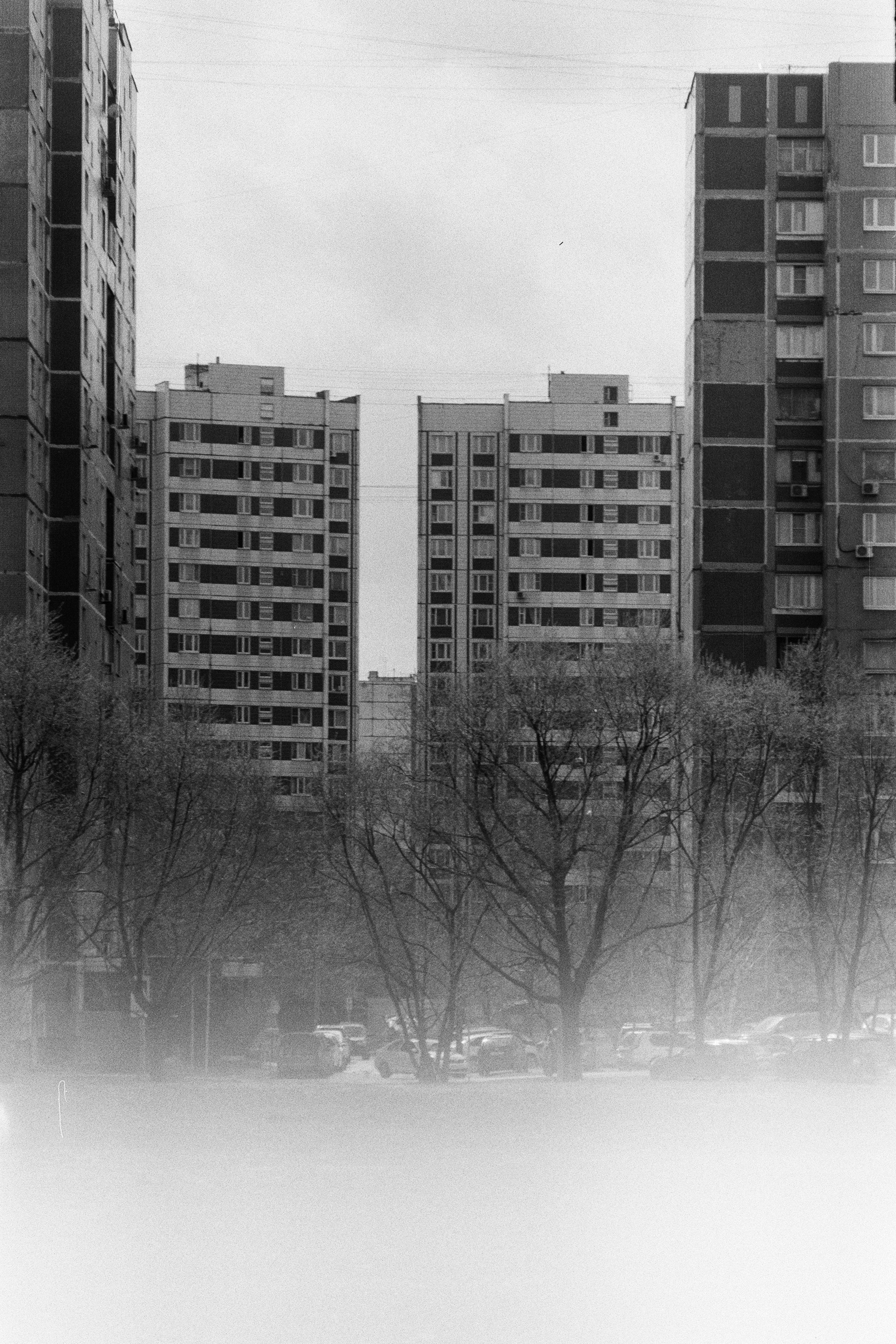 Я здесь живу. Екатерина Федорова