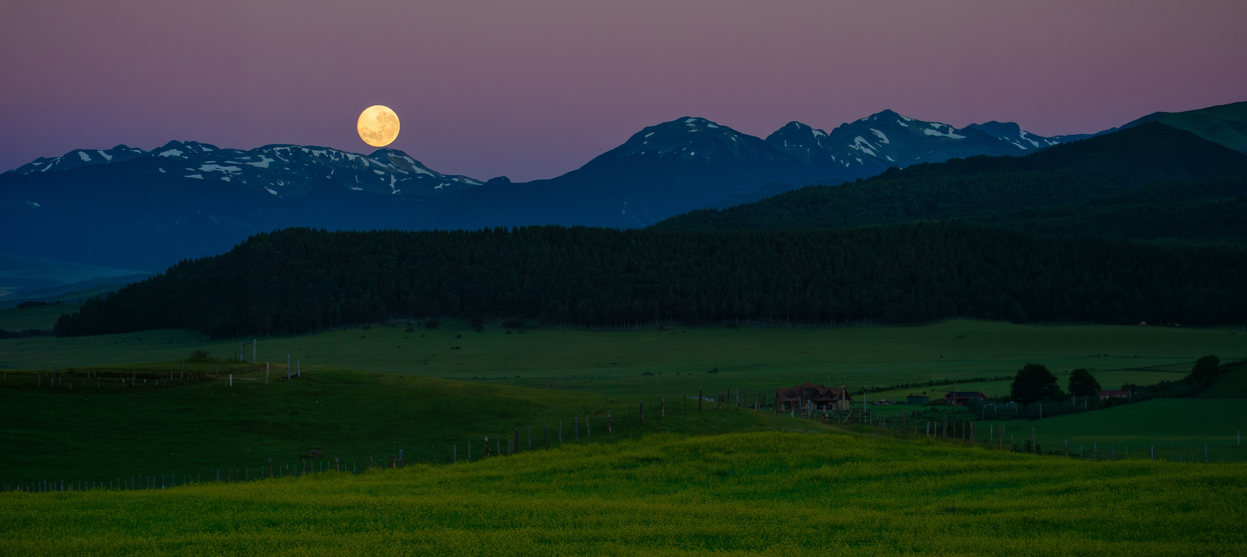 Nature photographer Yuri Soria-Galvarro