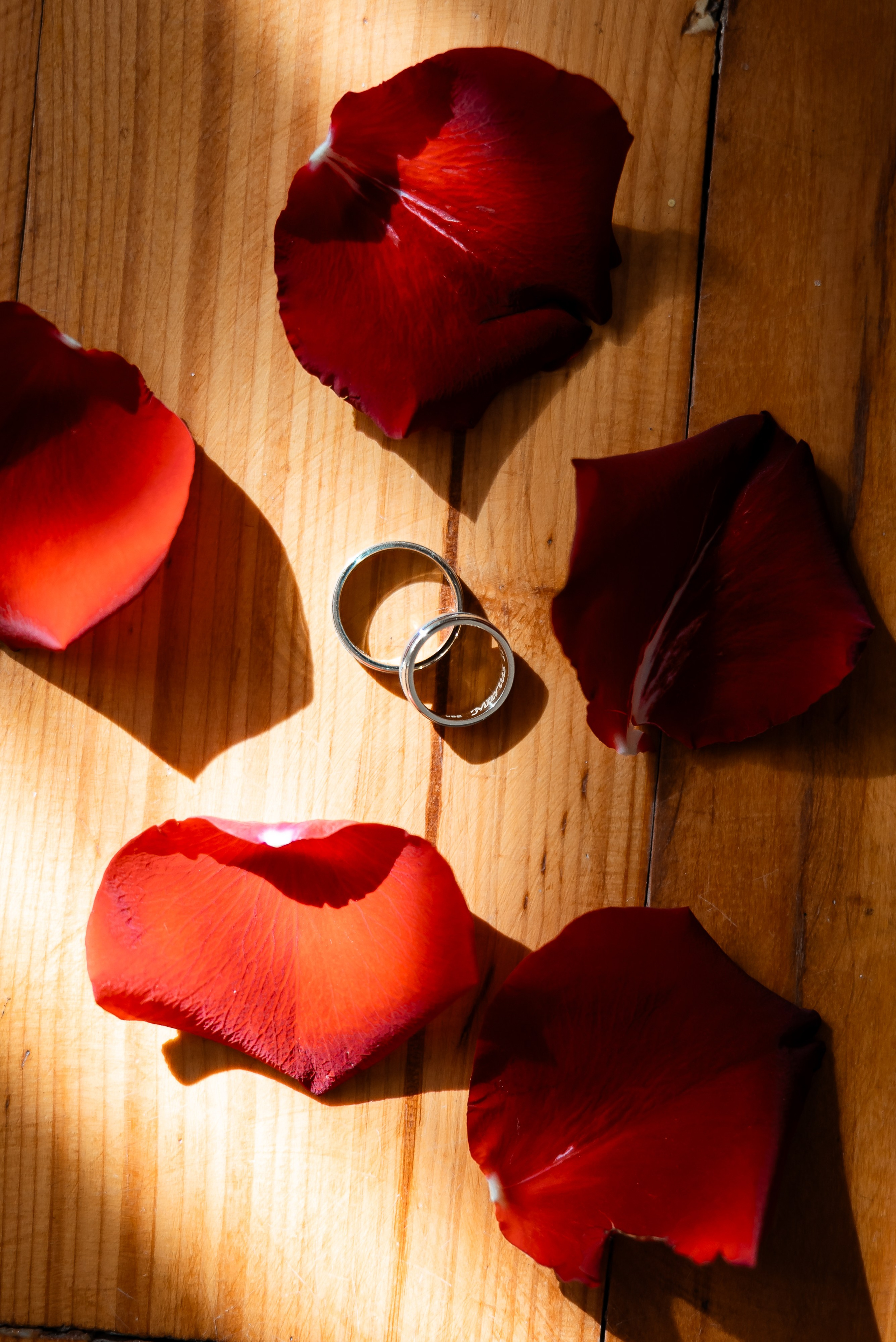 Stefania & Marius. Blink Photo — Fotografie & Videografie Nuntă