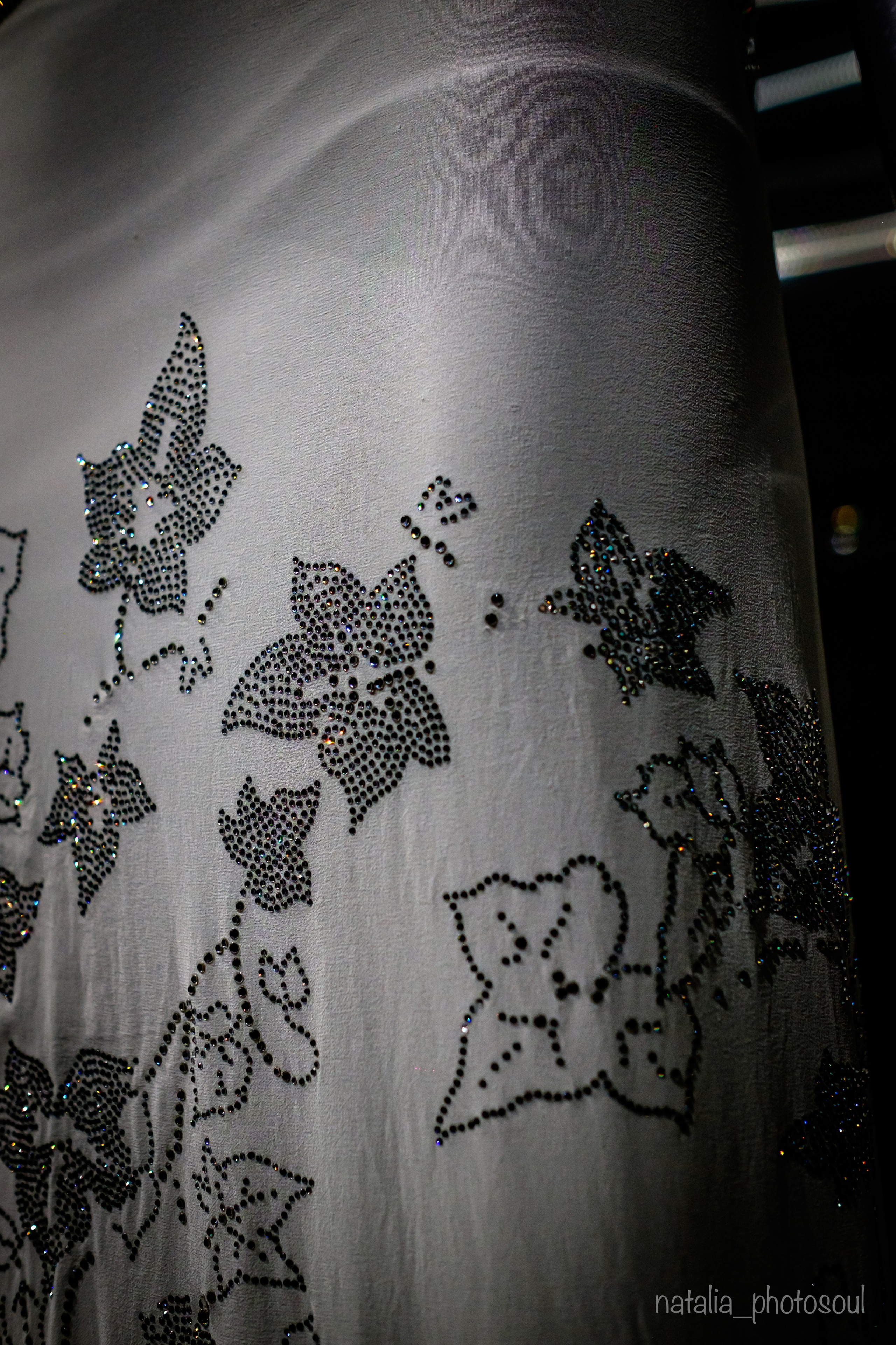 SWAROVSKI MASTERS OF LIGHT FROM VIENNA TO SEOUL. Photographer in Seoul Dobrokvashina Natalya