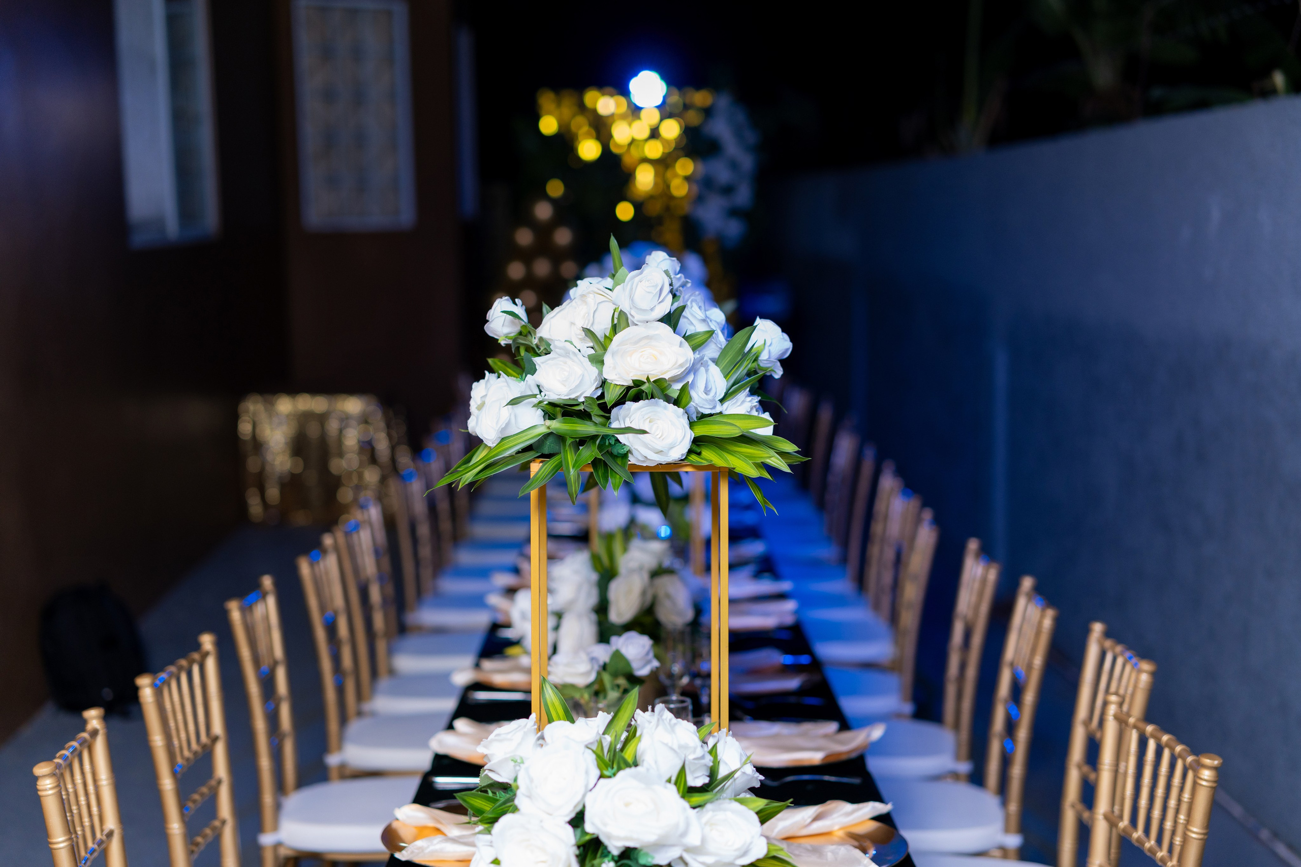 Test. Luminous Entertainment Ja