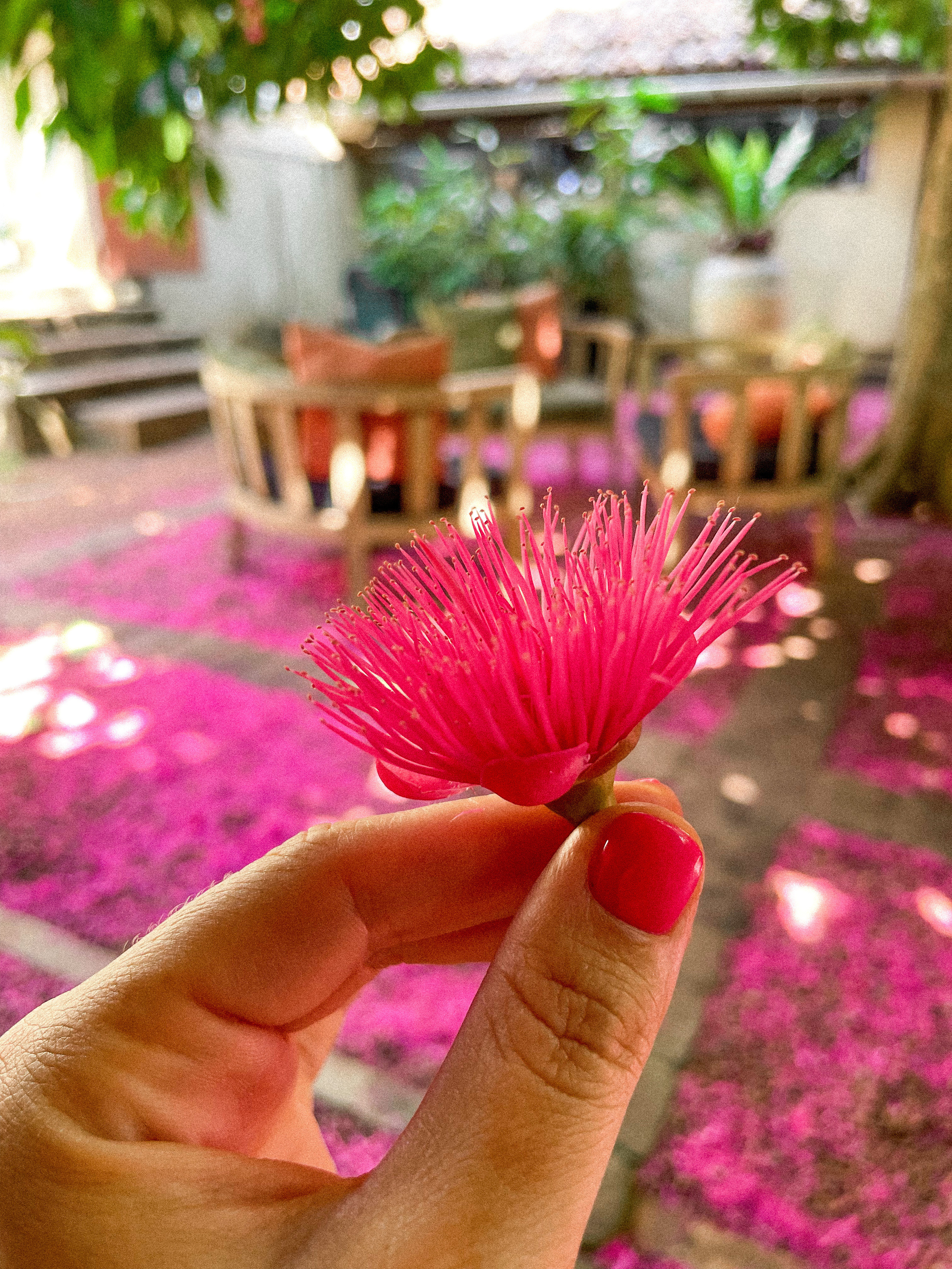Prednosti i nedostaci putovanja na Šri Lanku — Sveobuhvatni vodič