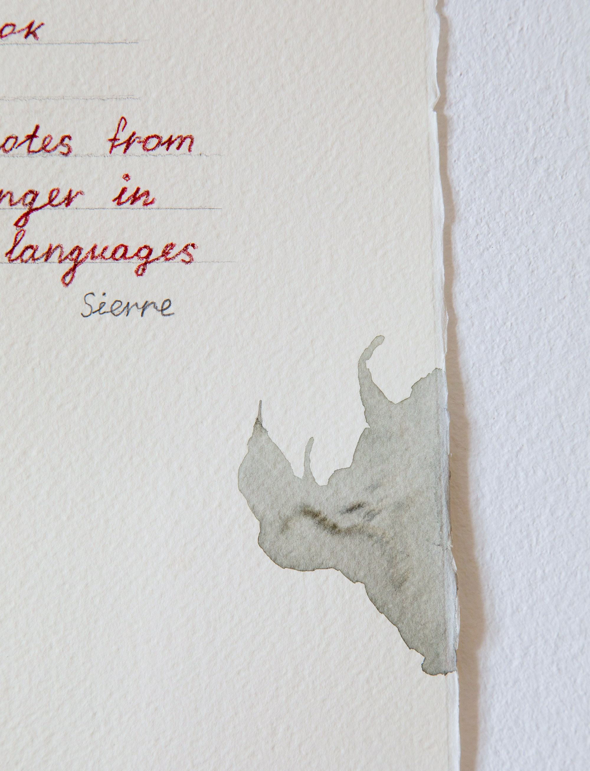 Notes in the Margins / 2024 — IN-PROGRESS. Daria Goncharova / Conceptual artist