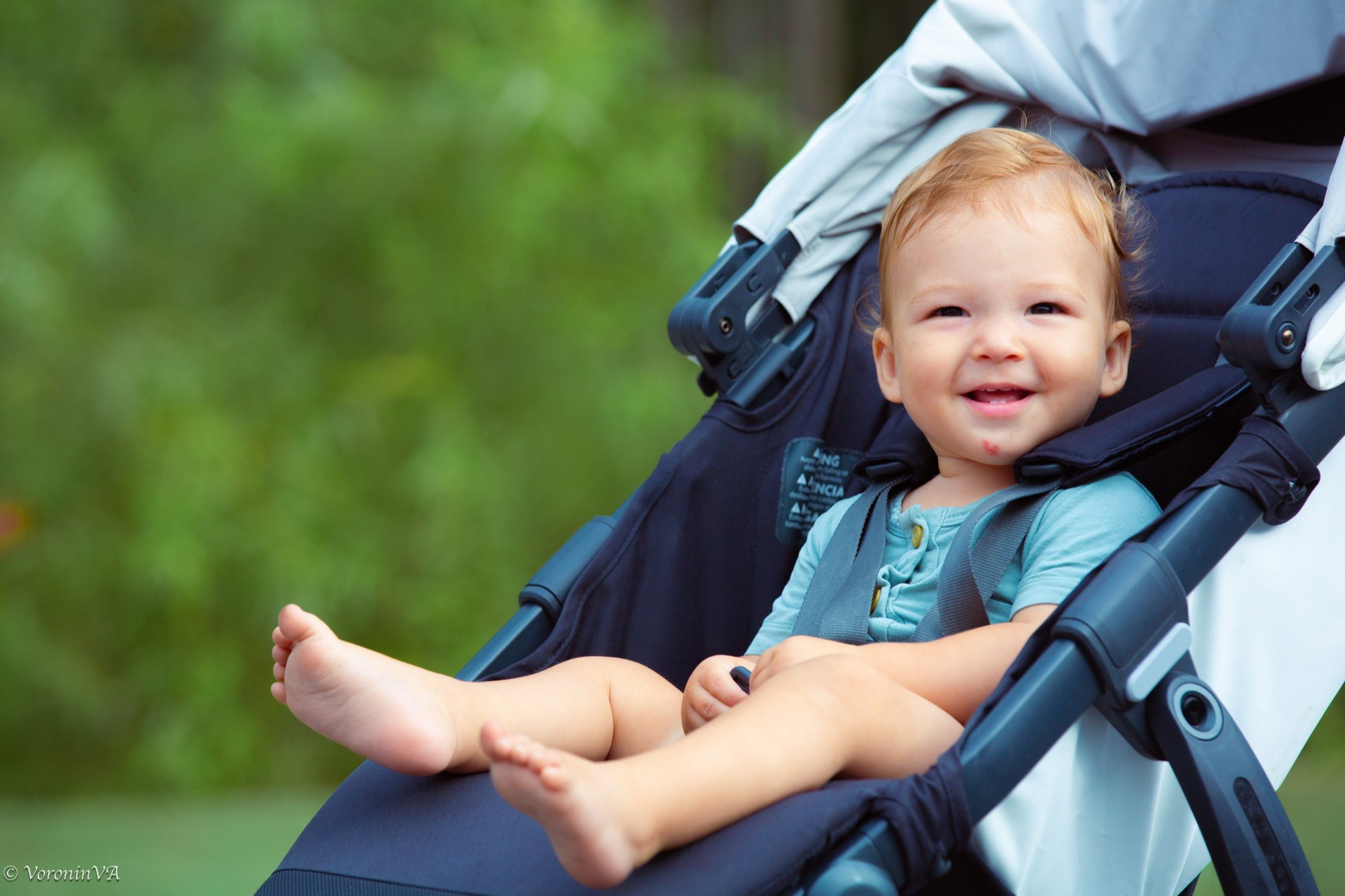 Children’s Portrait Photography in St. Augustine | $495