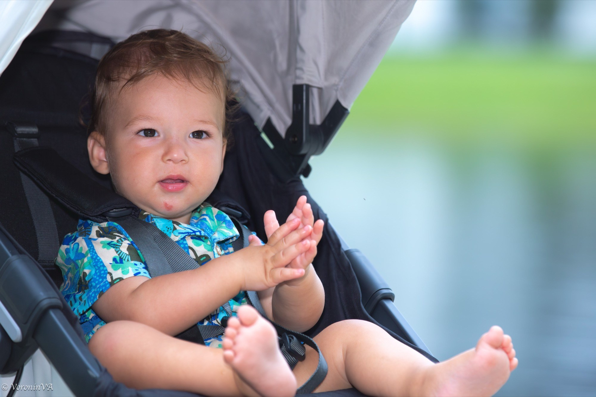 Children’s Portrait Photography in St. Augustine | $495