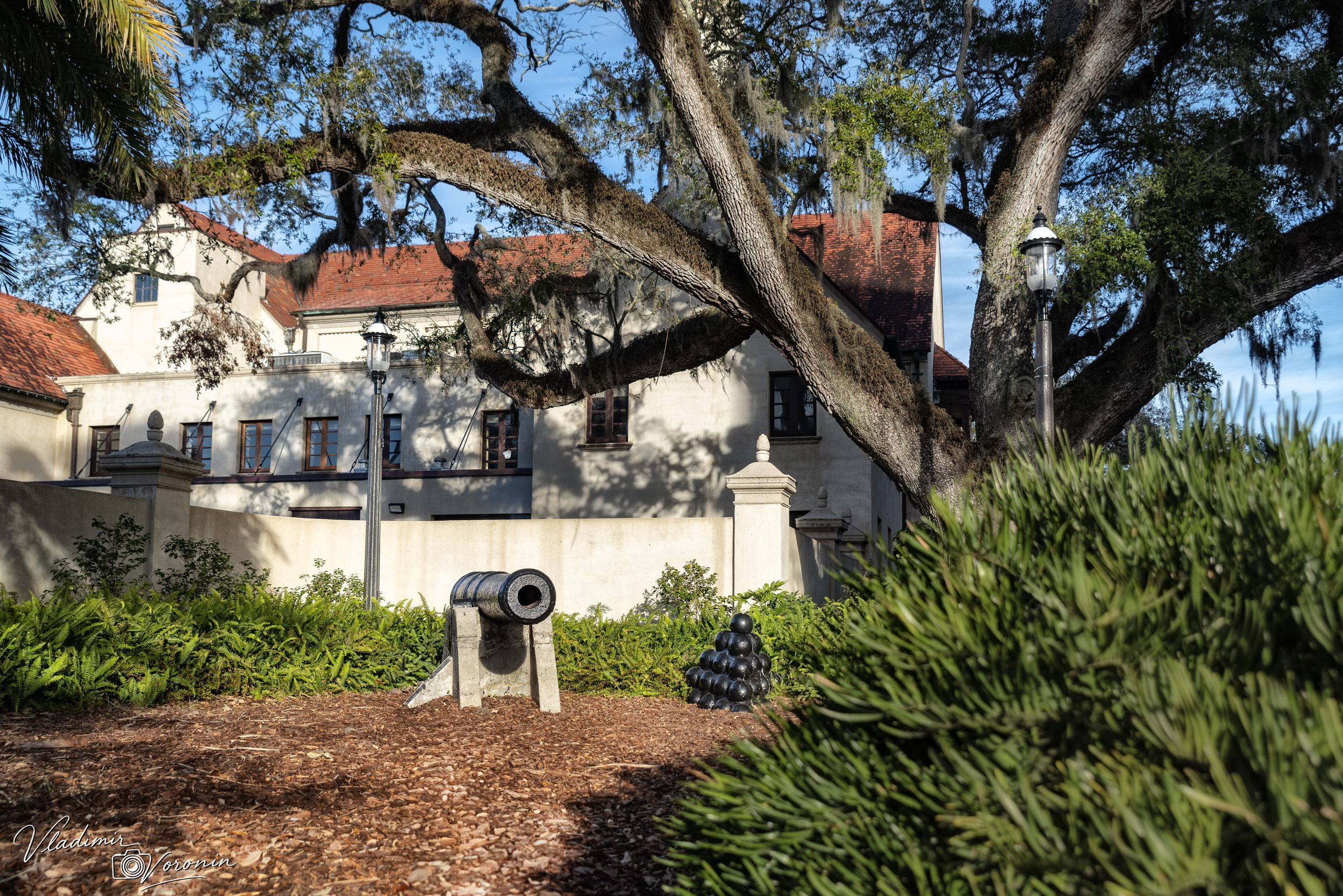 About Vladimir Voronin and Son | St. Augustine Portrait Photographers