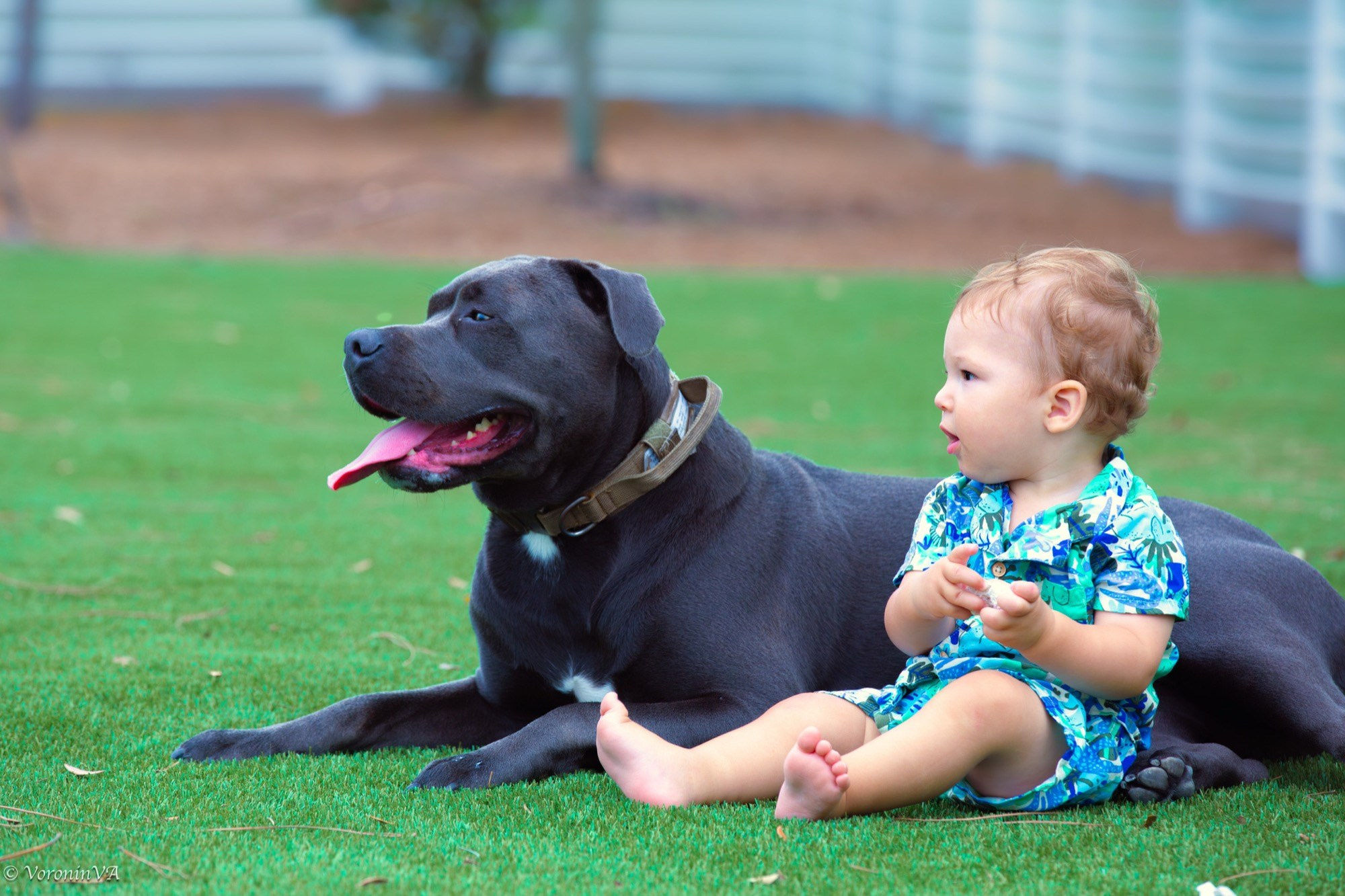 Children’s Portrait Photography in St. Augustine | $495