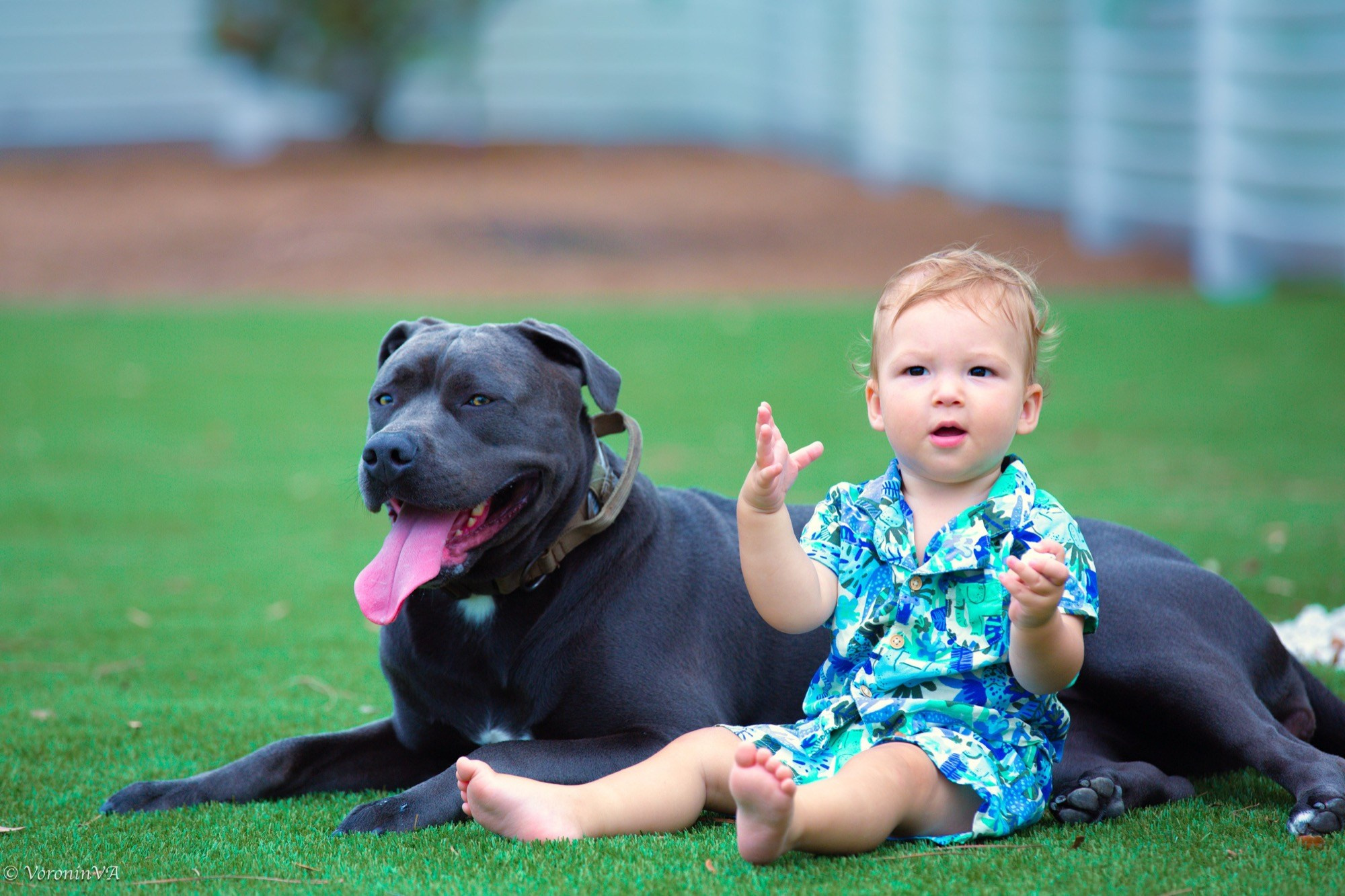 Children’s Portrait Photography in St. Augustine | $495