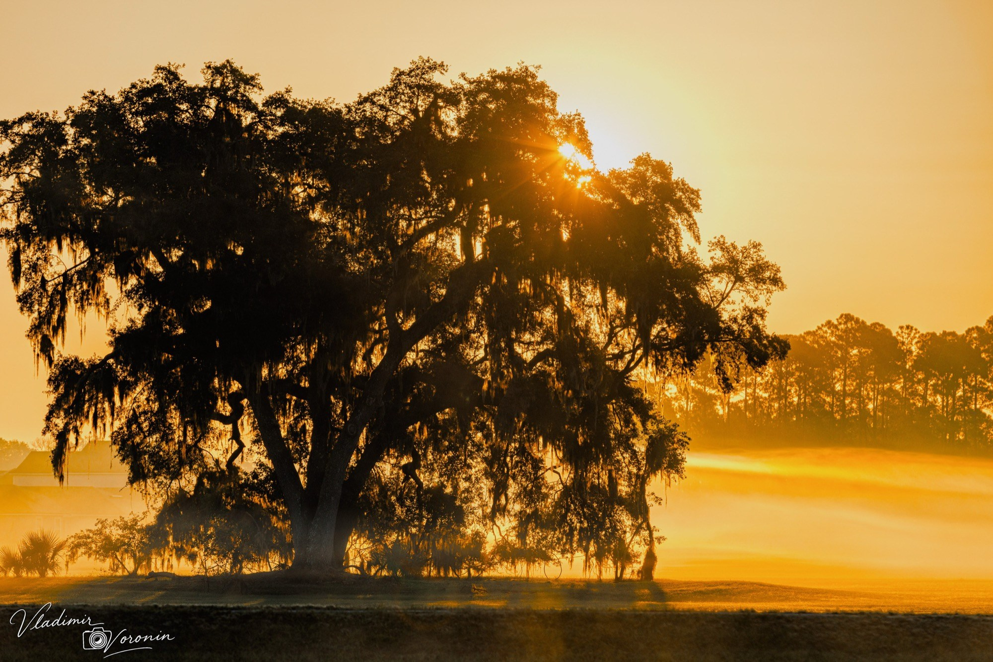 Family Portrait Photography in St. Augustine | Vladimir Voronin and Son