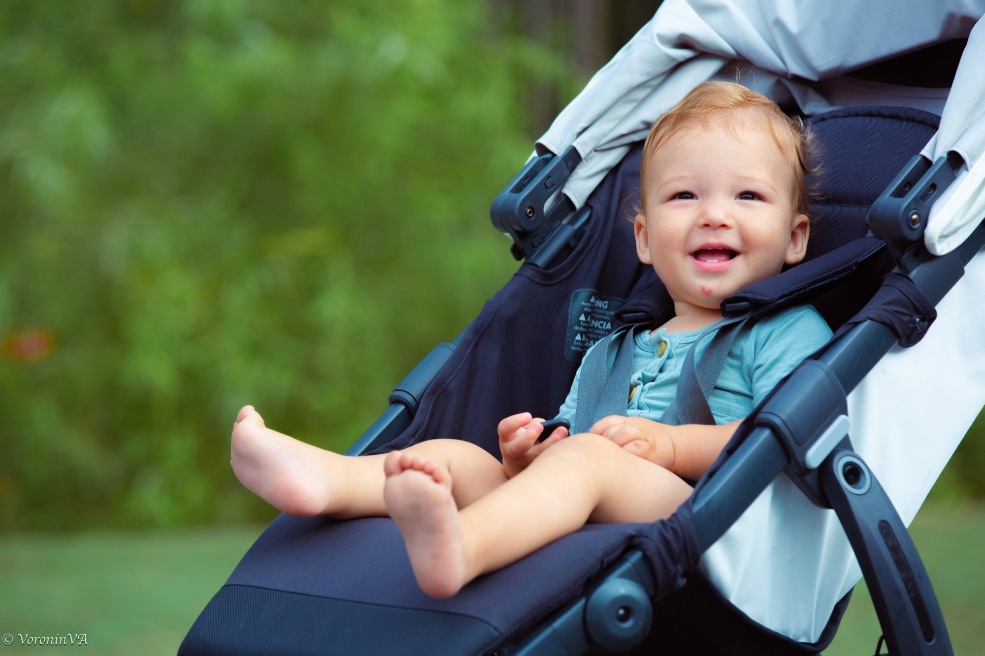 Children’s Portrait Photography in St. Augustine | $495