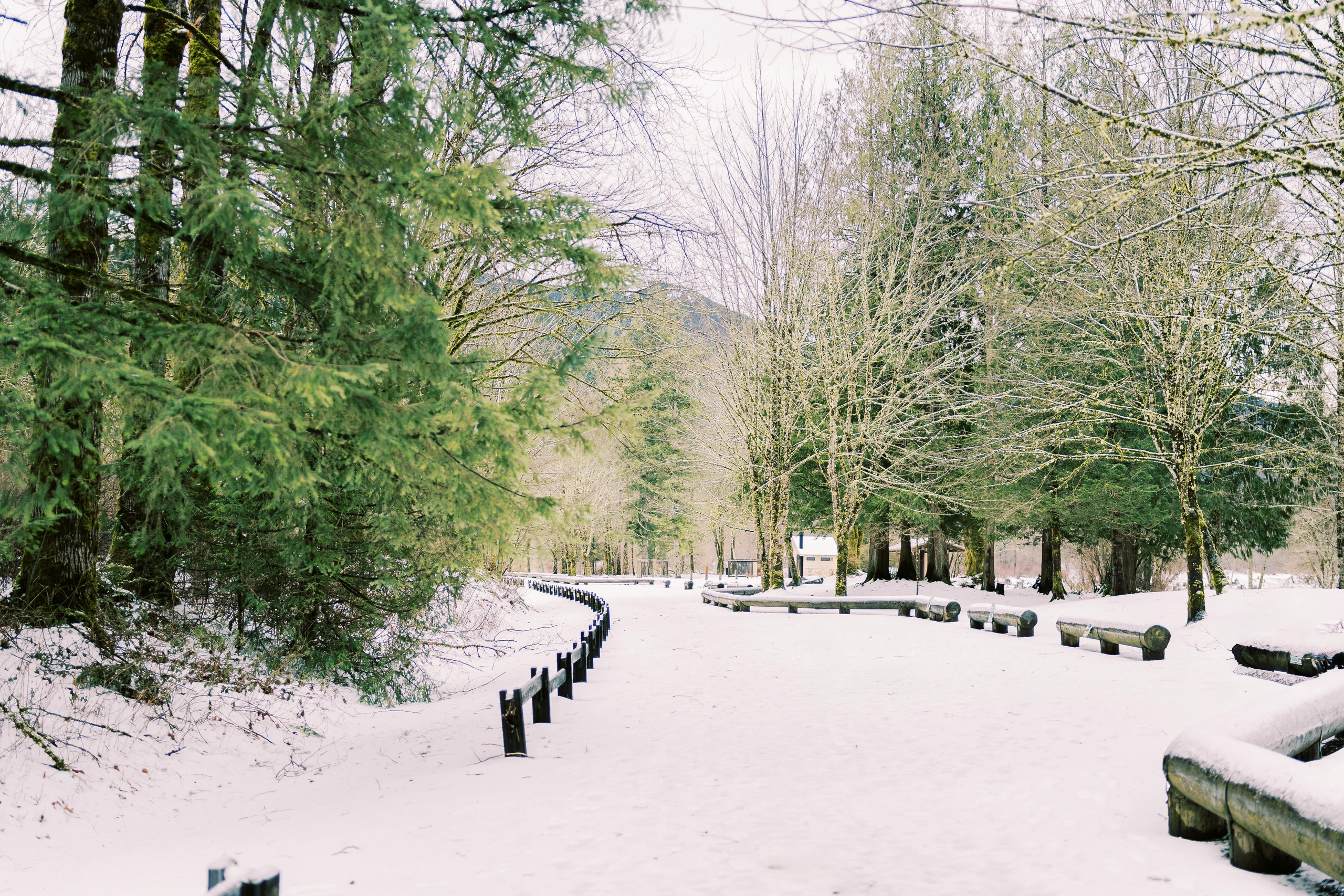 Irina & Bogdan / January 2024. Rattlesnake Lake, WA. EVAN ARISTOV WEDDING PHOTOGRAPHY — Seattle Wedding Photographer