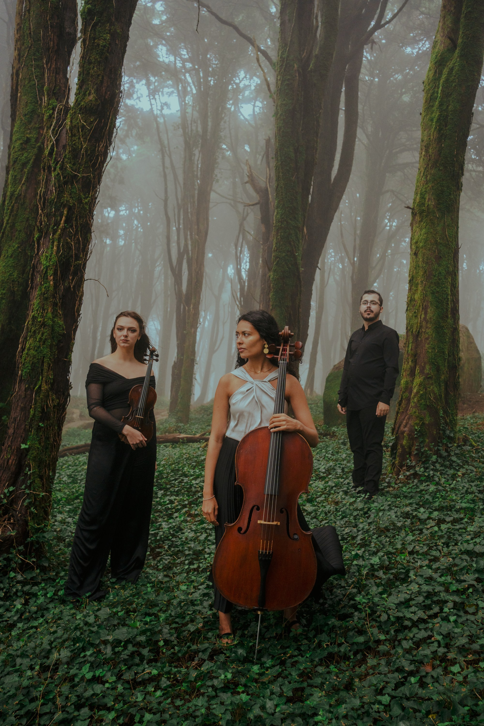 Обзор. Лило Даниелян | Visual artist