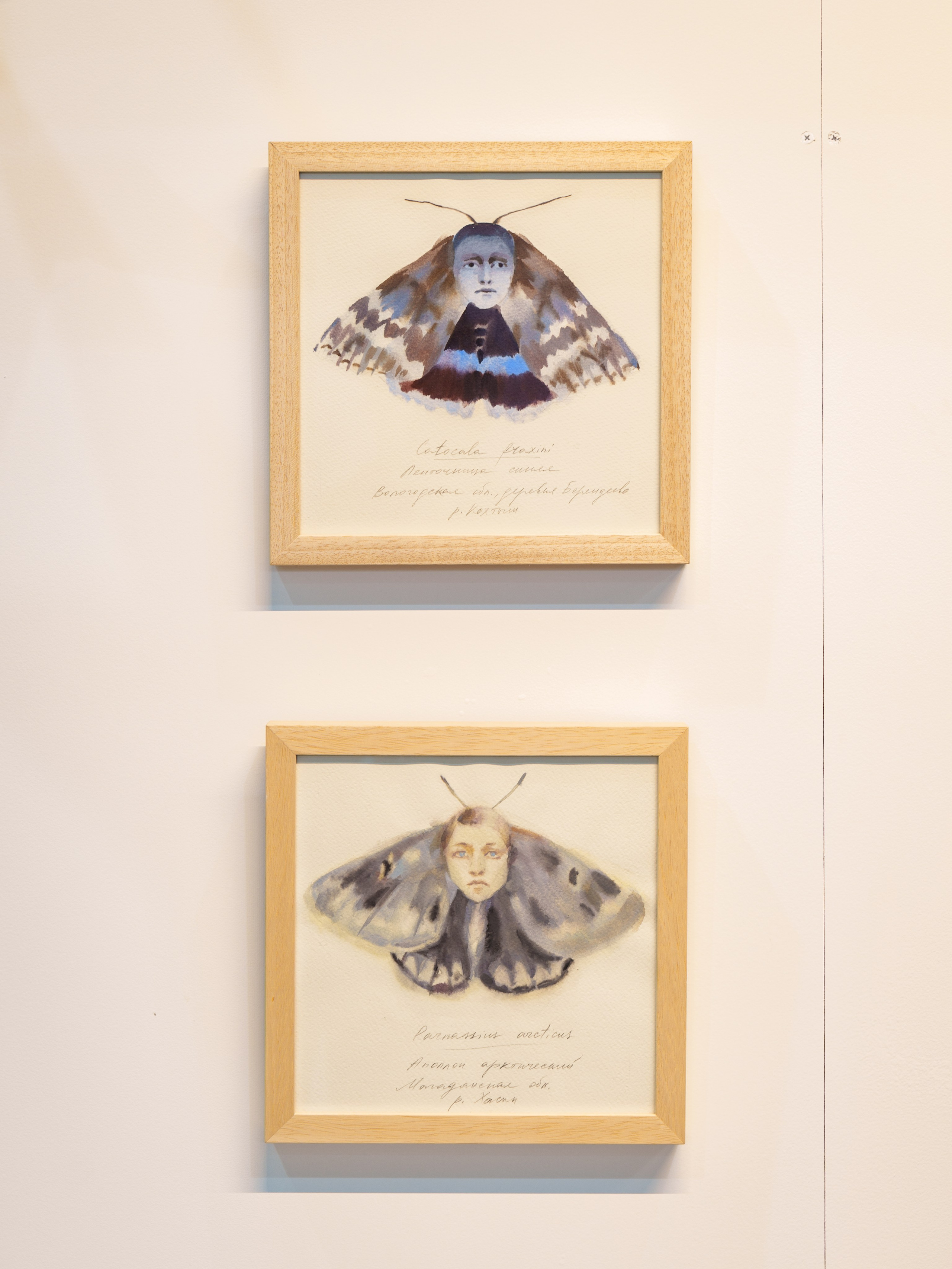 PAF' 25. Alina Kugush