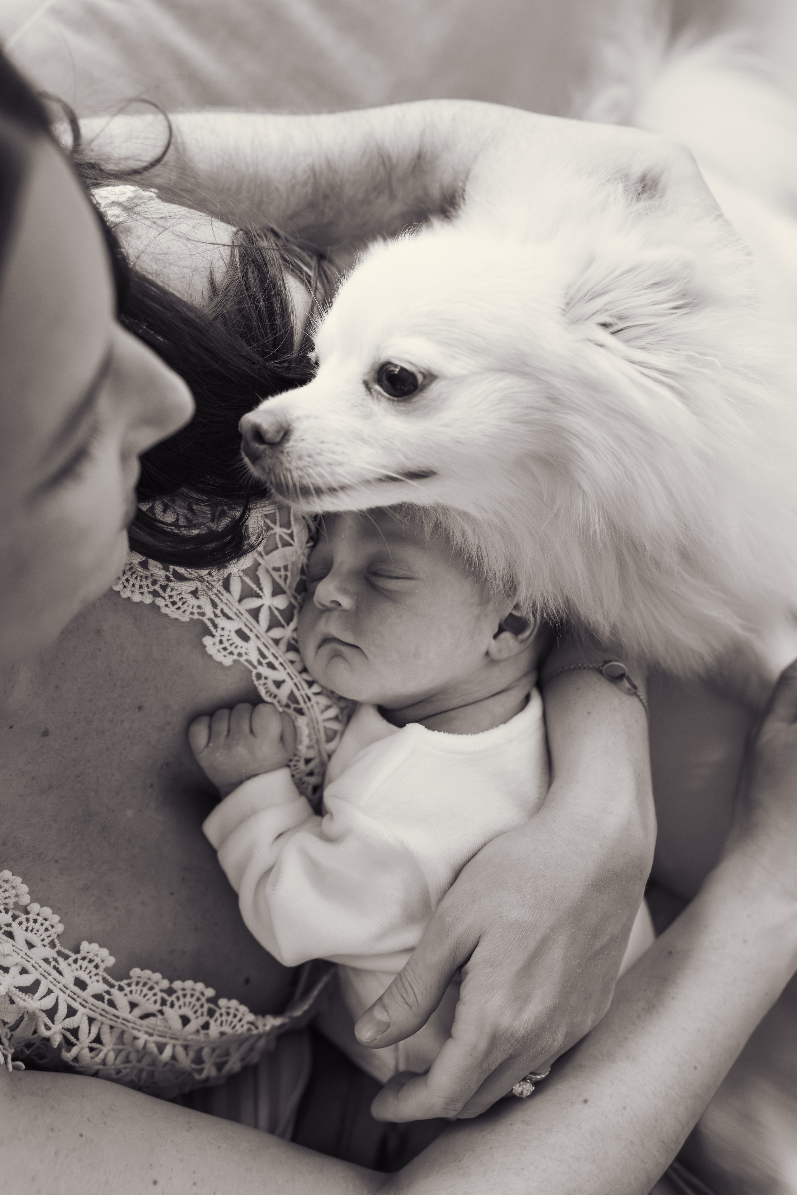 Dash_photopic.I’m Daria New York based photographer