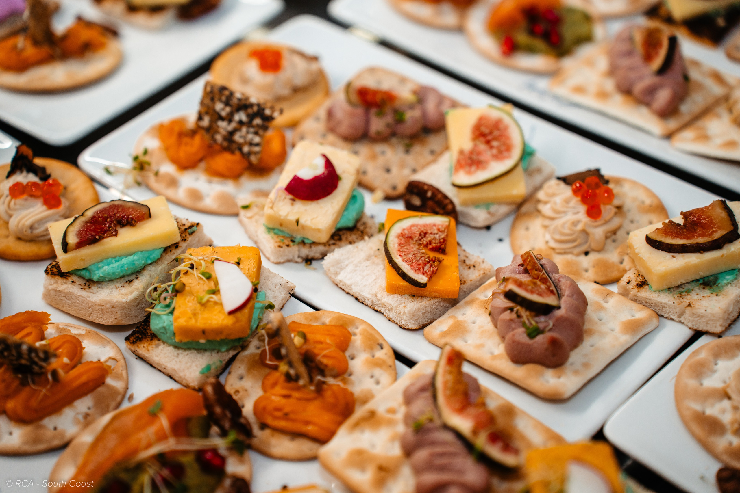 REVELION 2026. TANTAN IONUT FOTO & FILM