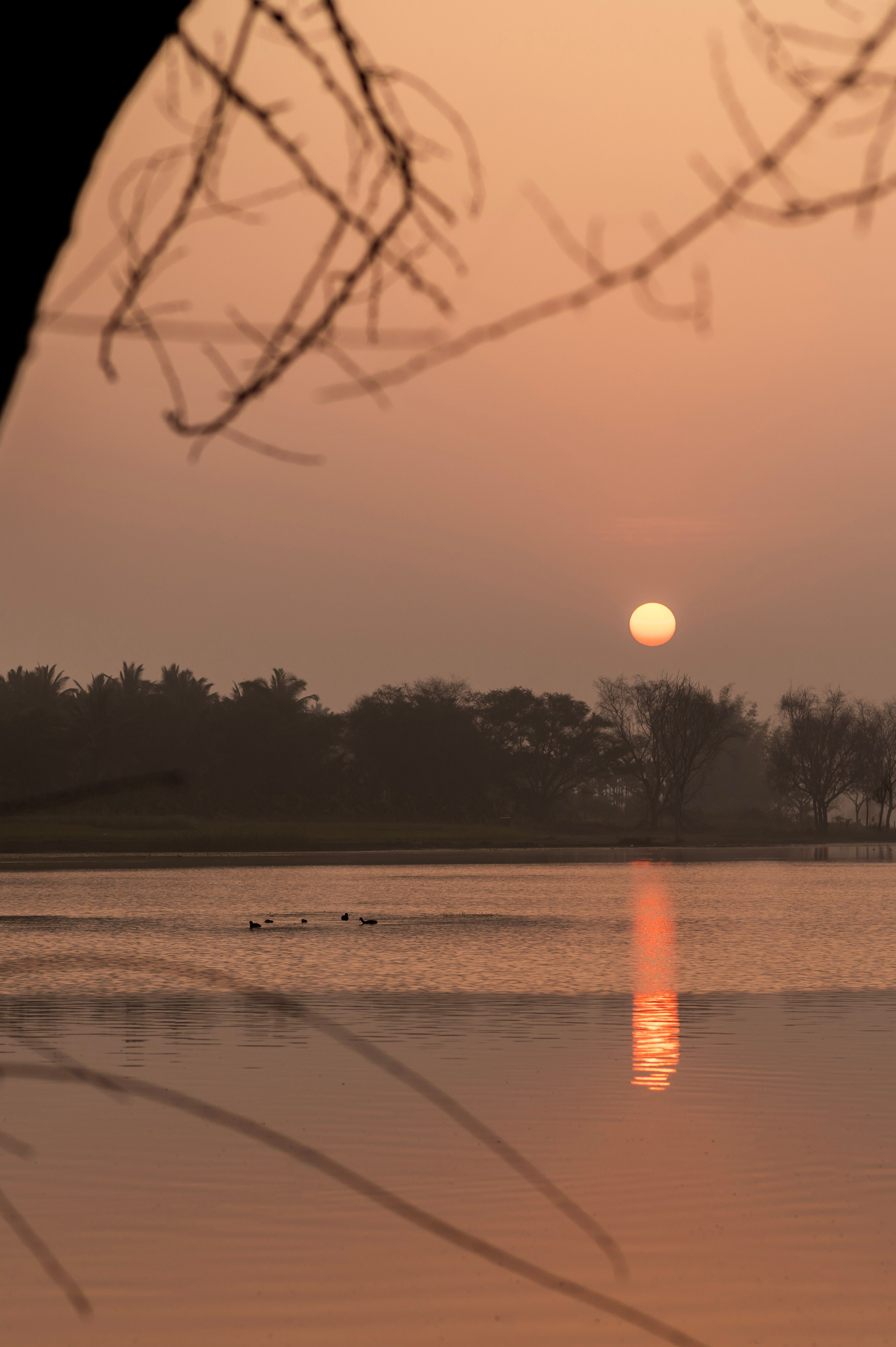 Rukmini Vasanth in Flow. Documentary Wedding Photo & Film Studio | Truly Yours