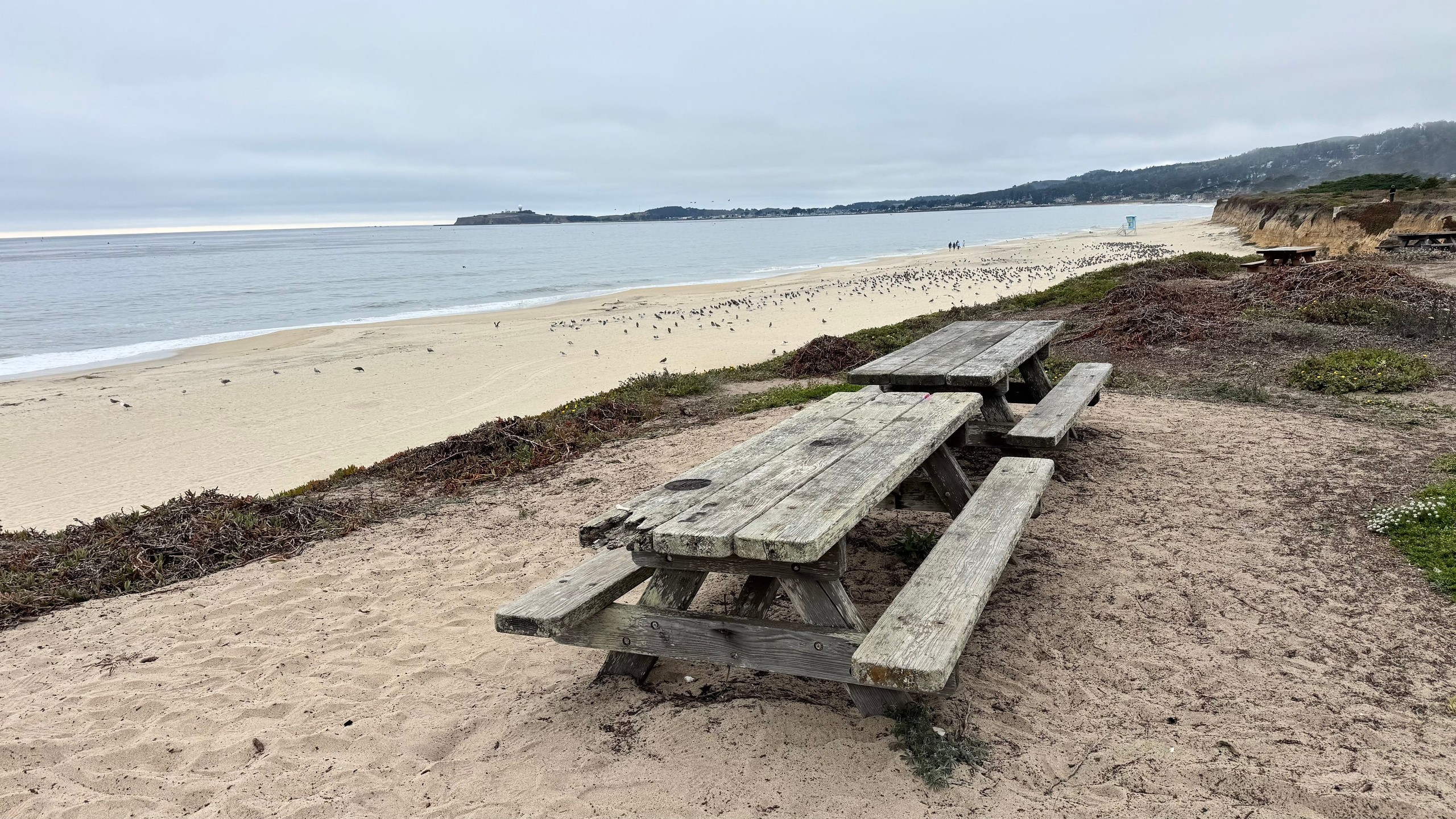 Bay Area Beach Guide for Photoshoots | Best Beaches for Maternity, Couples & Family. Maternity, newborn photographer in the Bay Area|Iryna Rakivnenko