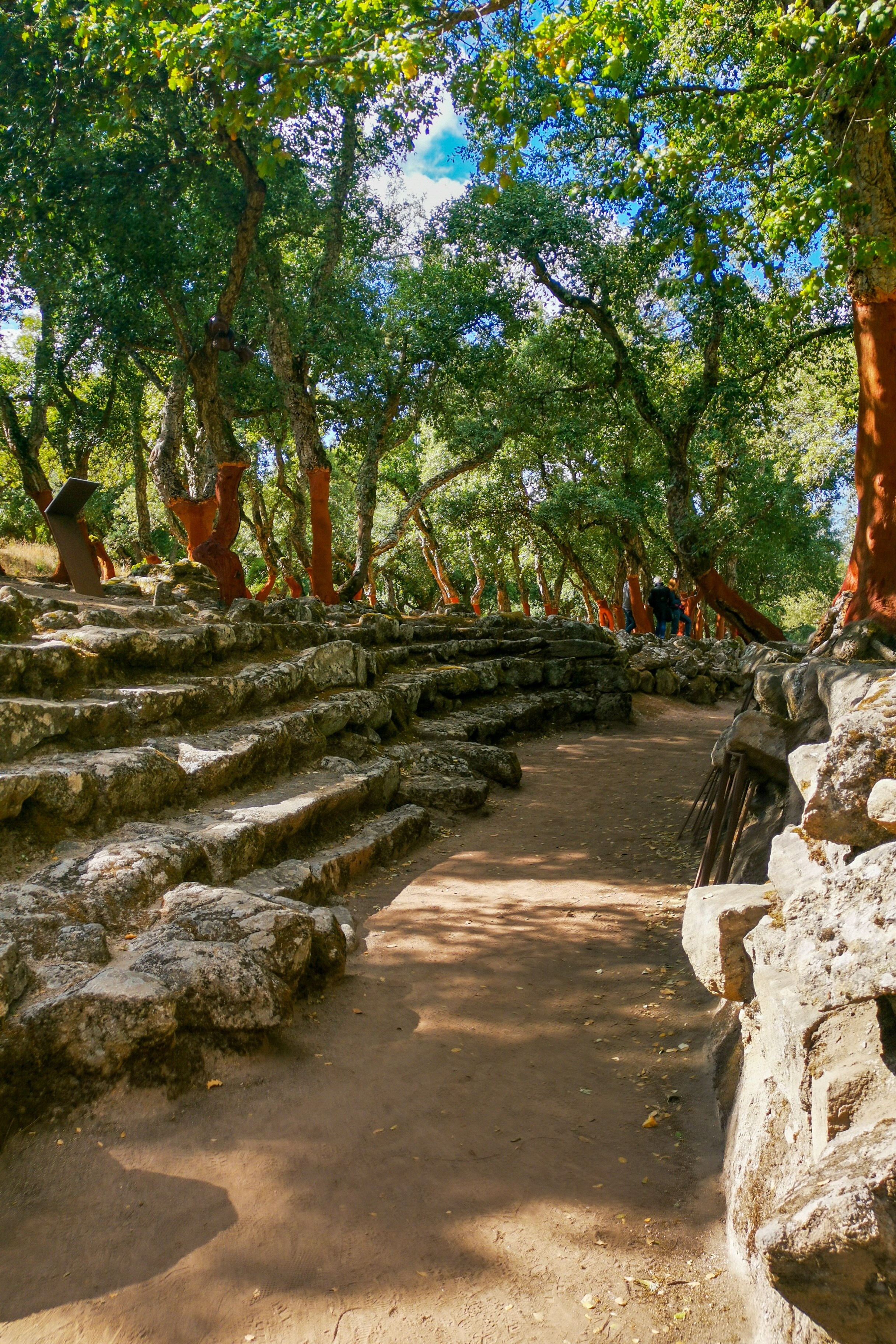 Paesaggi. Olga Manukhina fotografo in Sardegna