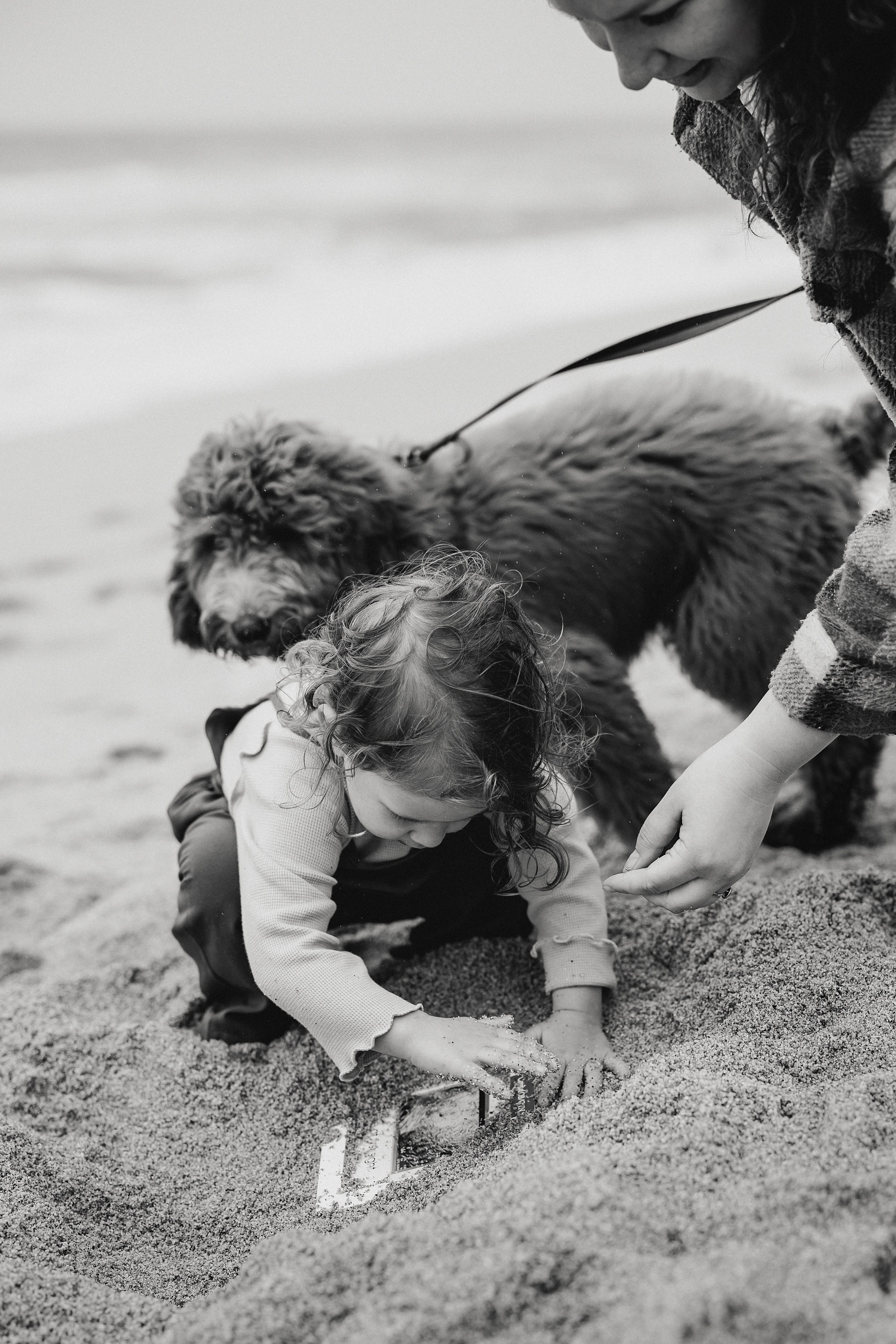 Families. ArtFeather Photography. Sacramento, California