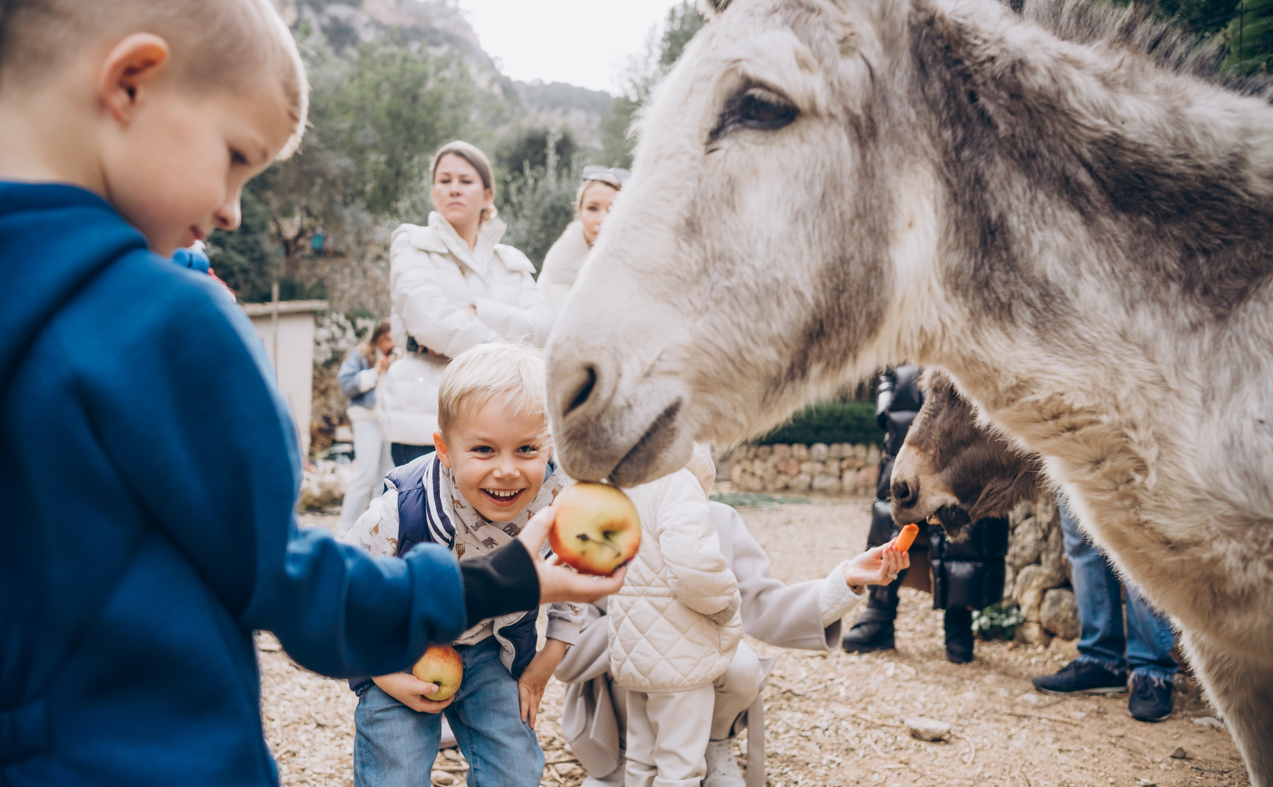 Gender party. Photographer in Mallorca