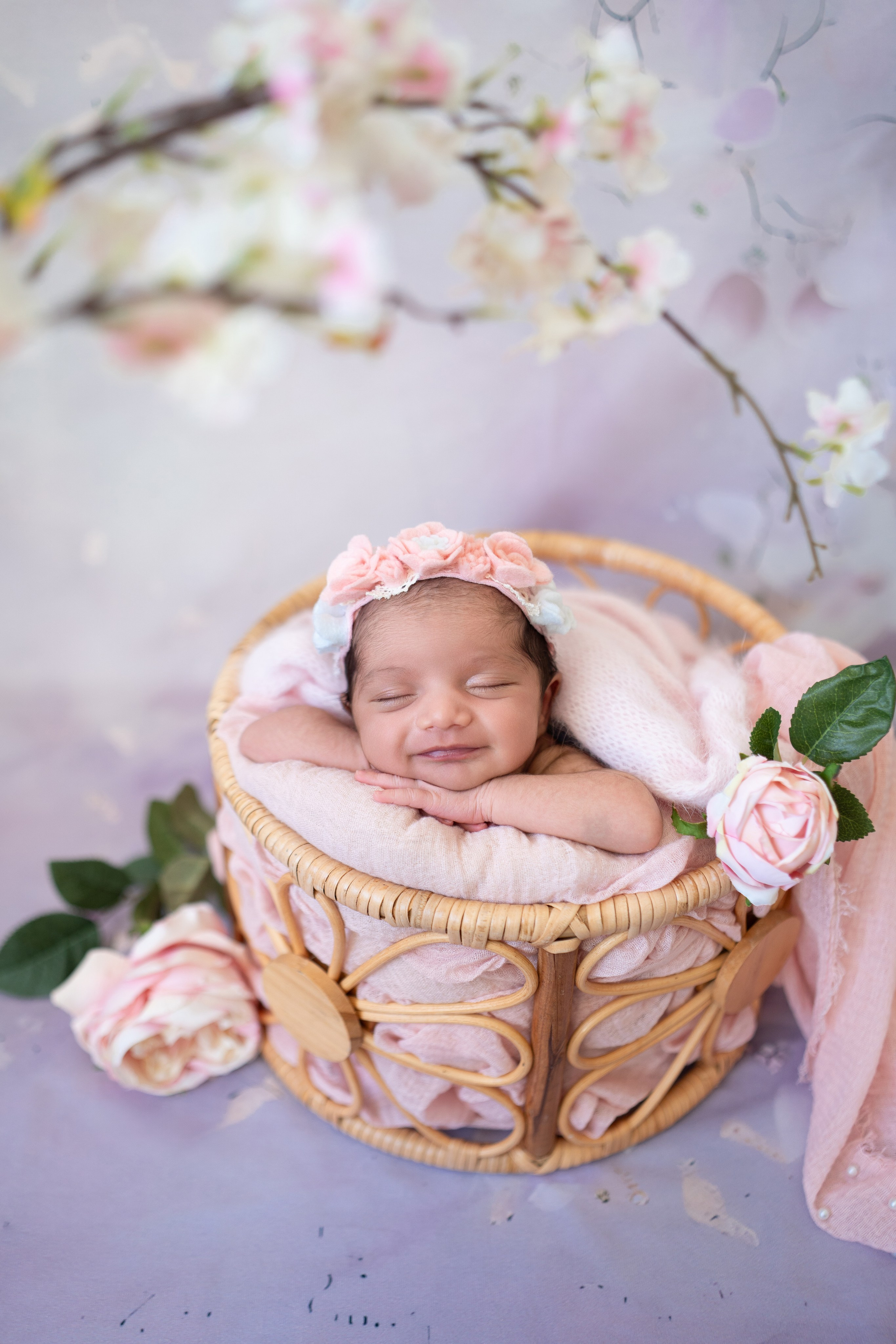 Posed Newborn. Maternity, family and newborn photography in San Francisco Bay Area