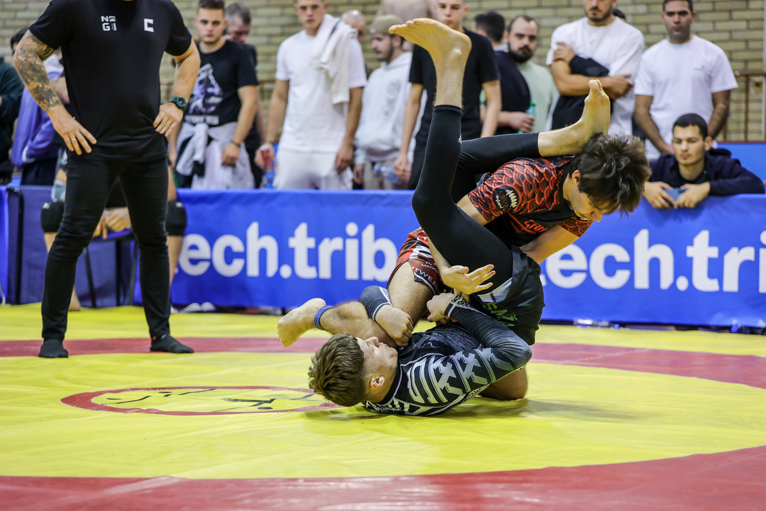 NO GI Challenge Novi Sad