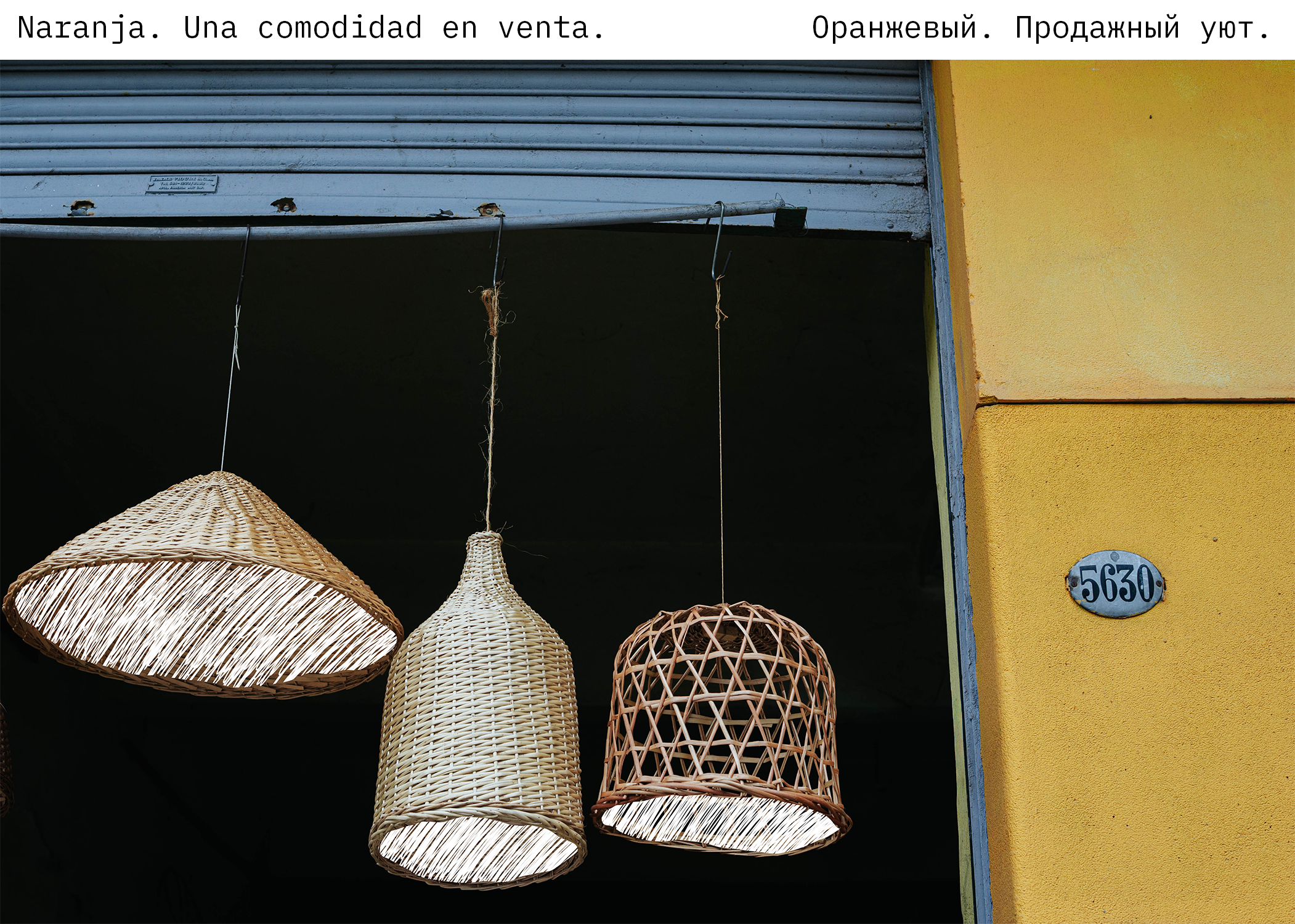 Perla. Los colores. Photographer @elmirkami in the city of Buenos Aires