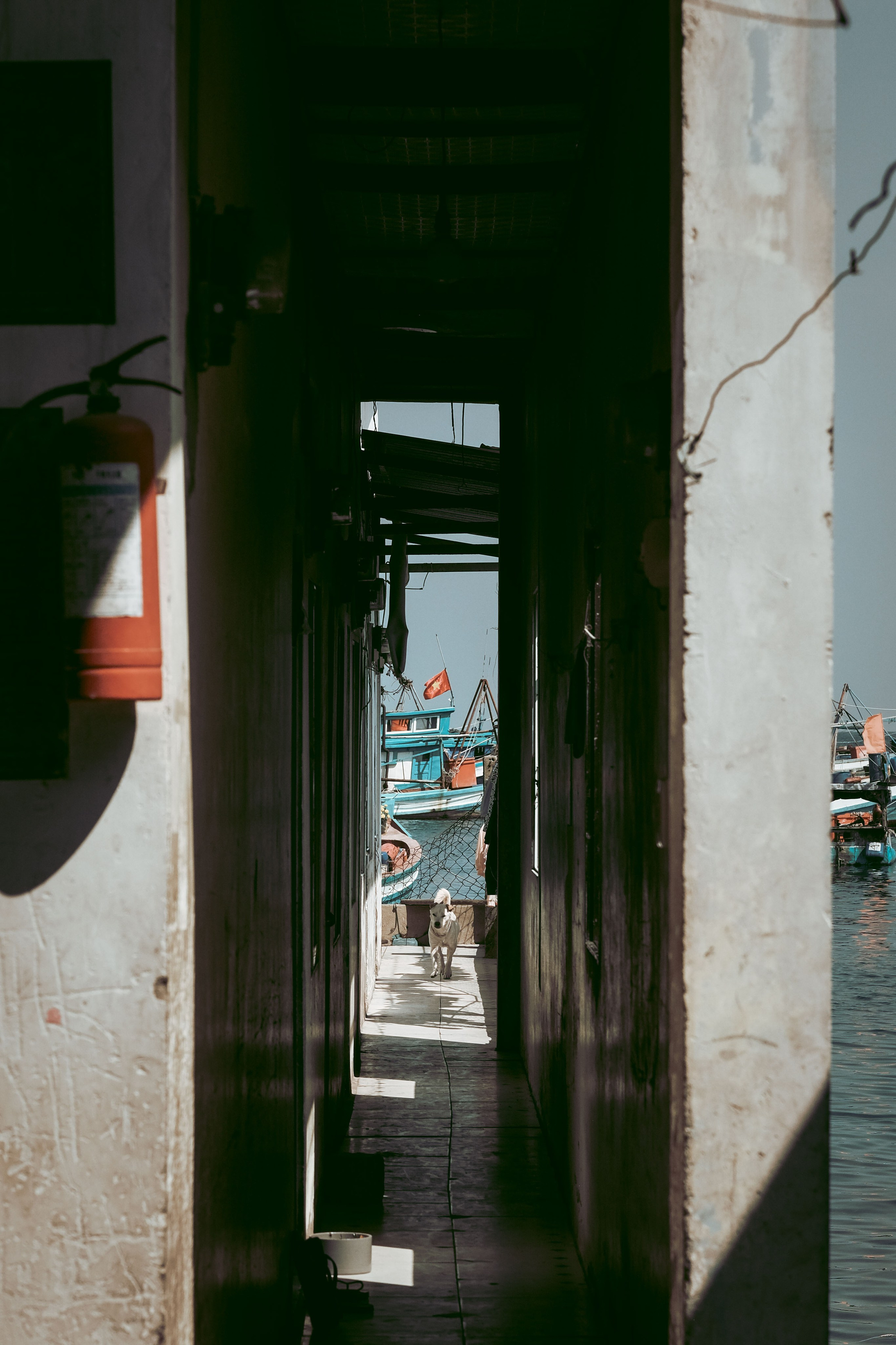 Vietnam street life photography | Vietnam street photography Island in Phú Quốc