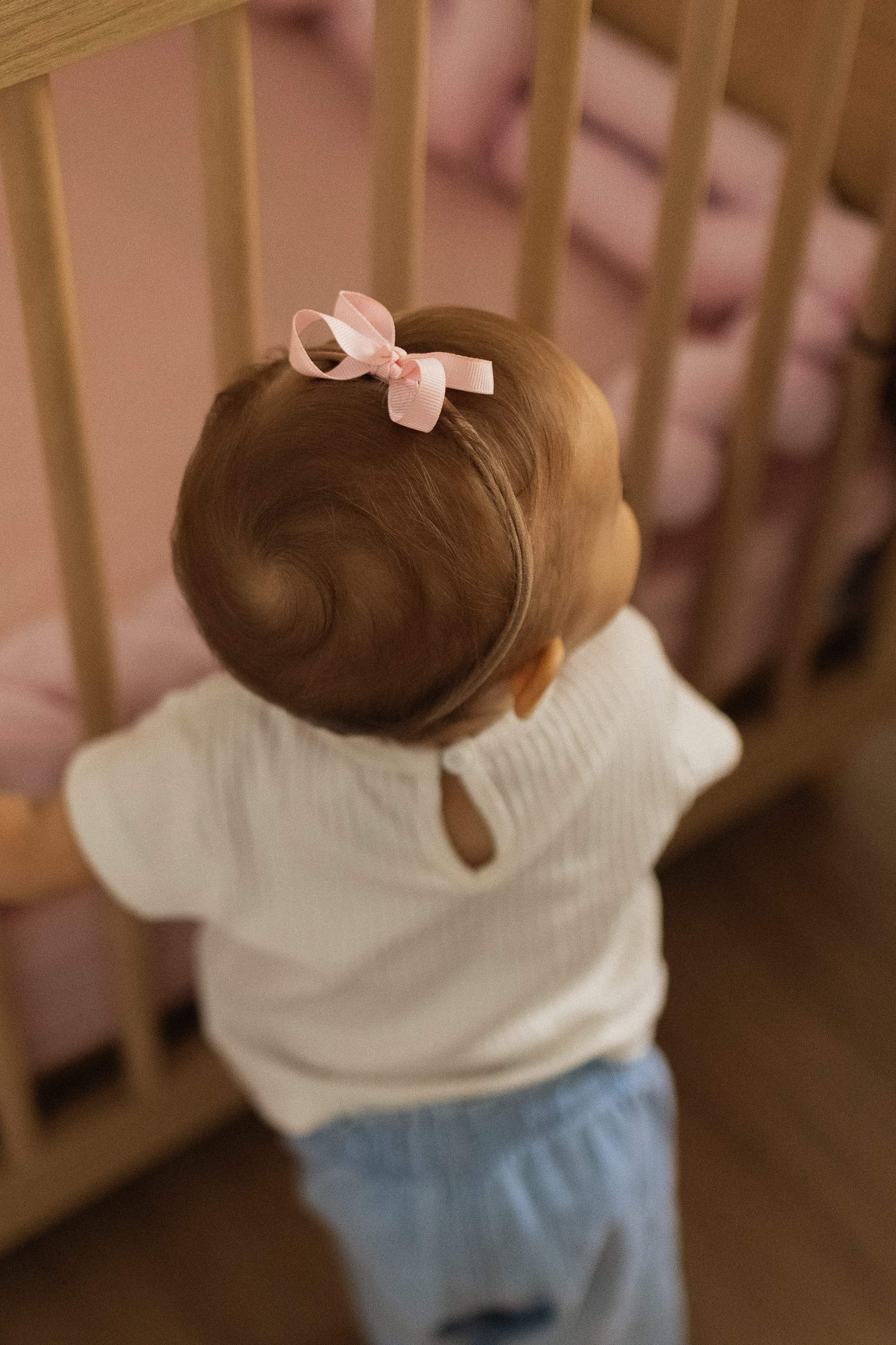 A Família da Olivia