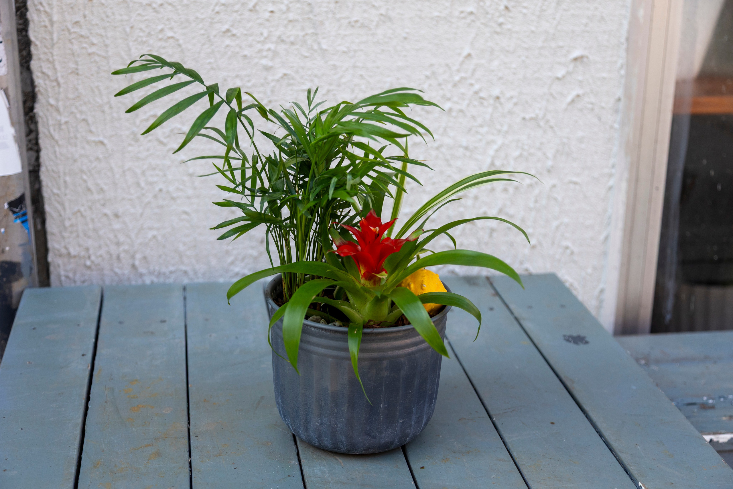 Gavekurve i Aarhus. Akropolis Blomster | Din døgn blomsterbutik i Aarhus