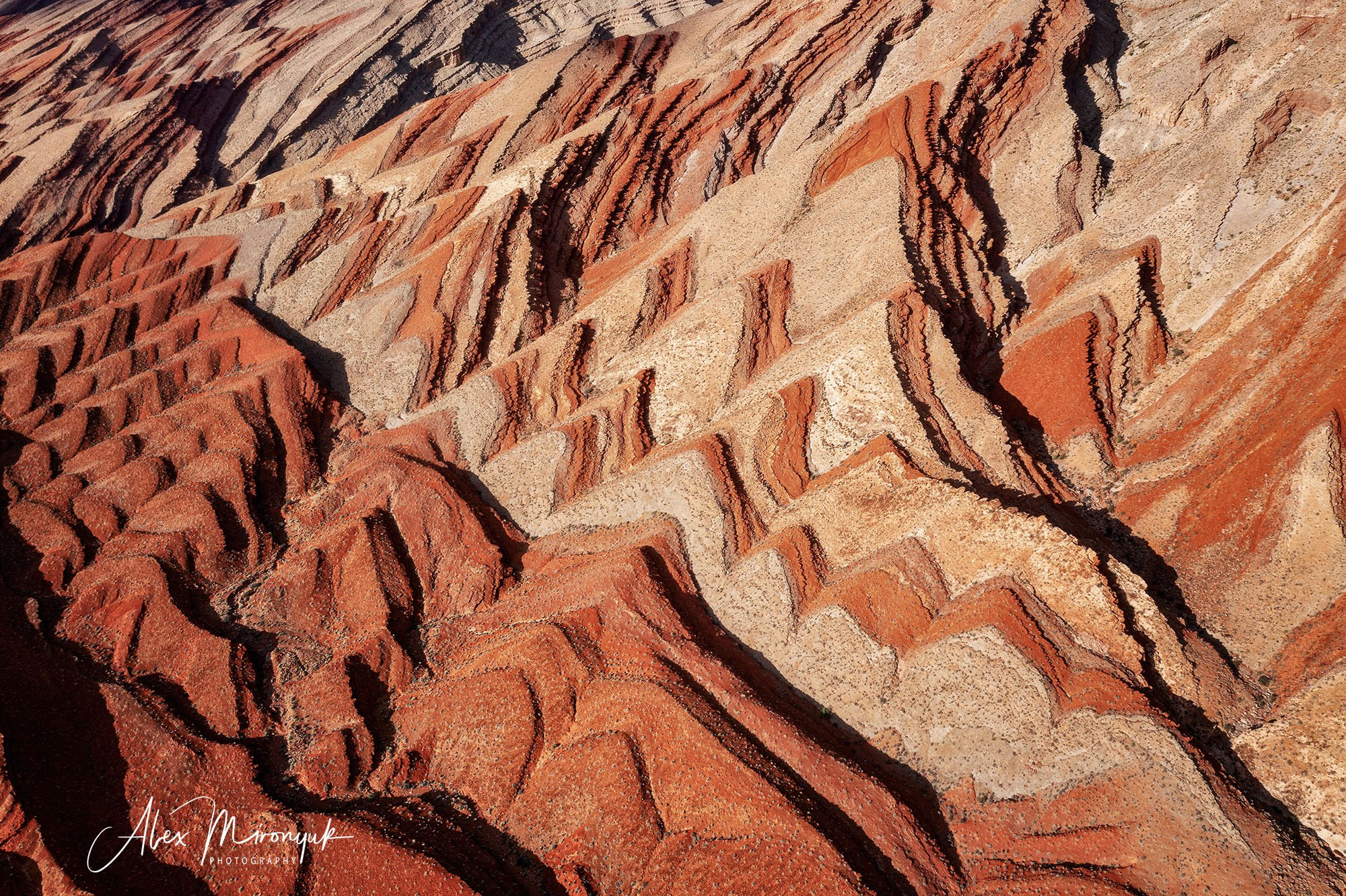 Eagle’s View American Southwest. Pet, Senior, Landscape, portrait studio, photographer in Miami and Sou