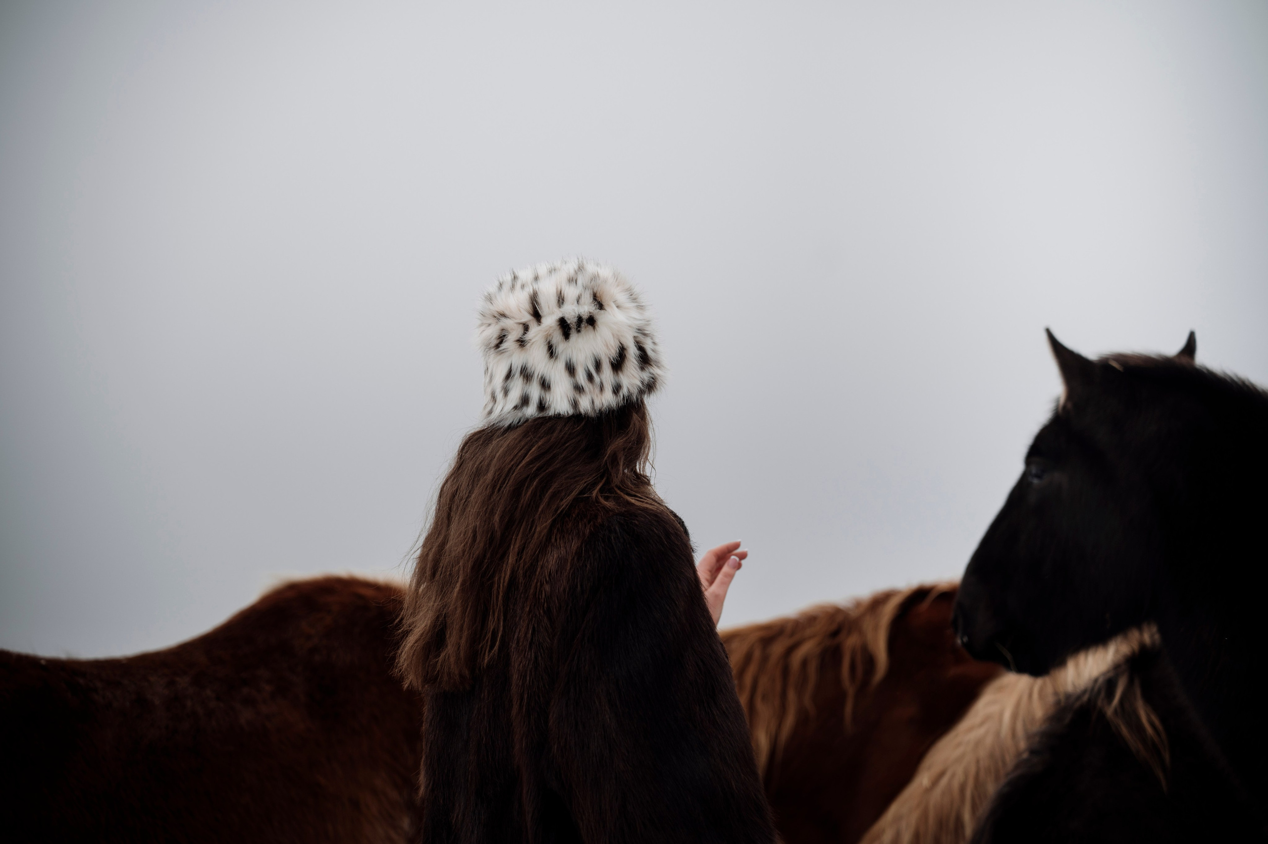 Семья/пара. Фотограф Таллинн — свадьба |семья | lovestory