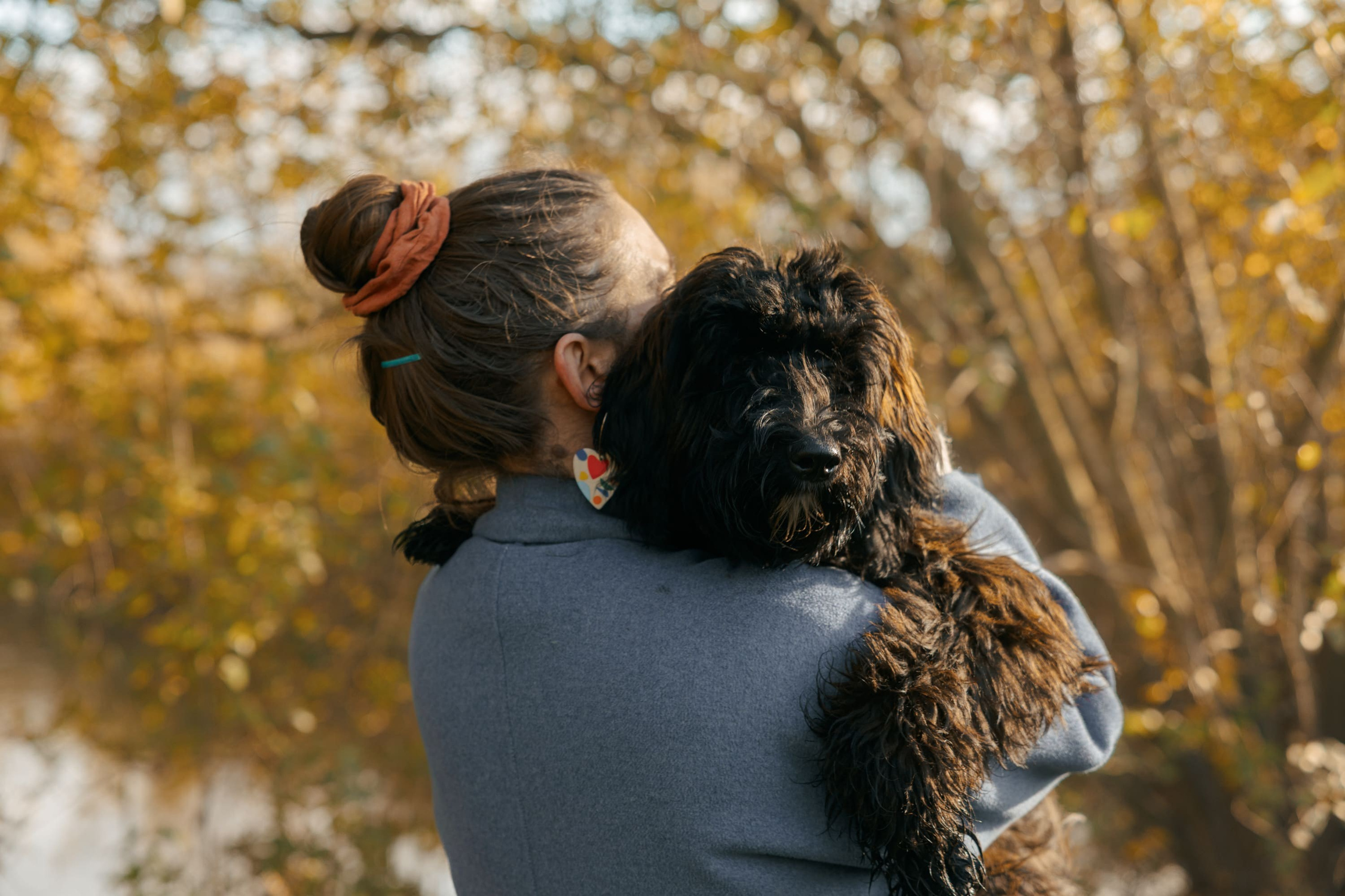 Dog & Cat Photographer Rotterdam | Natalia Olhova. Romantic & Soulful Photography by Natalia Olhova in Rotterdam