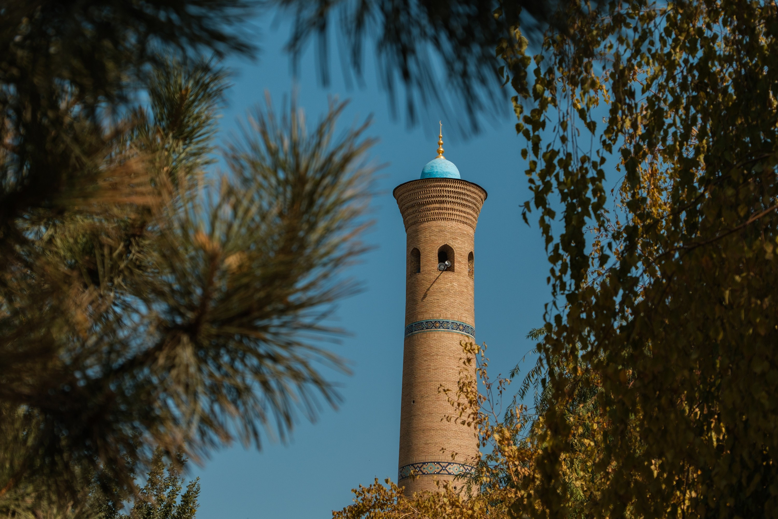 Обзор на объектив 16-300мм Sigma. Личные впечатления и опыт использования. Фотограф Григорий Кравец