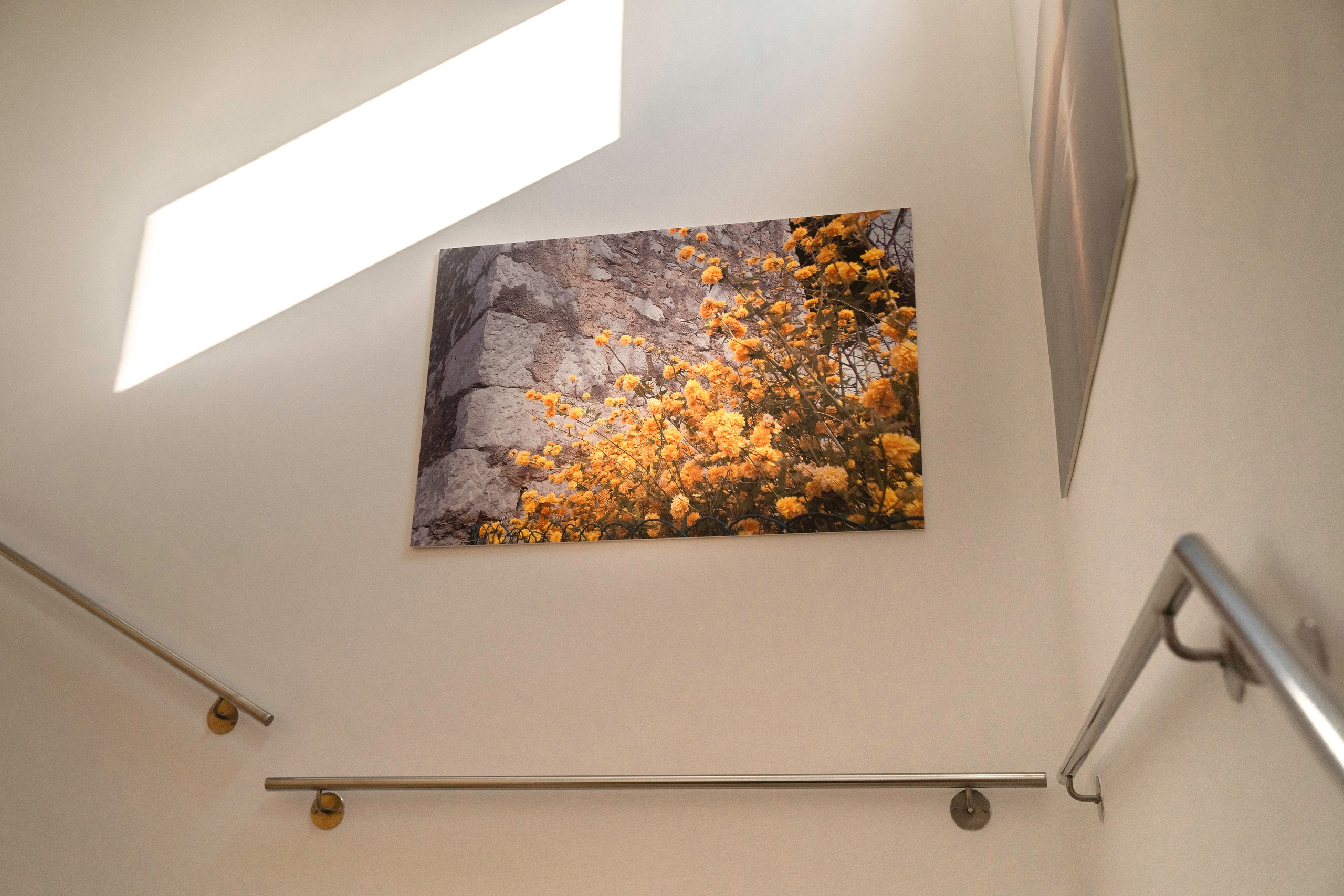 Fotografiranje Interierja. Fotografinja in videografinja Mariia Bortiakova iz Slovenije: fotografiranje dogodkov, portretov in snemanje videov po vsej Sloveniji