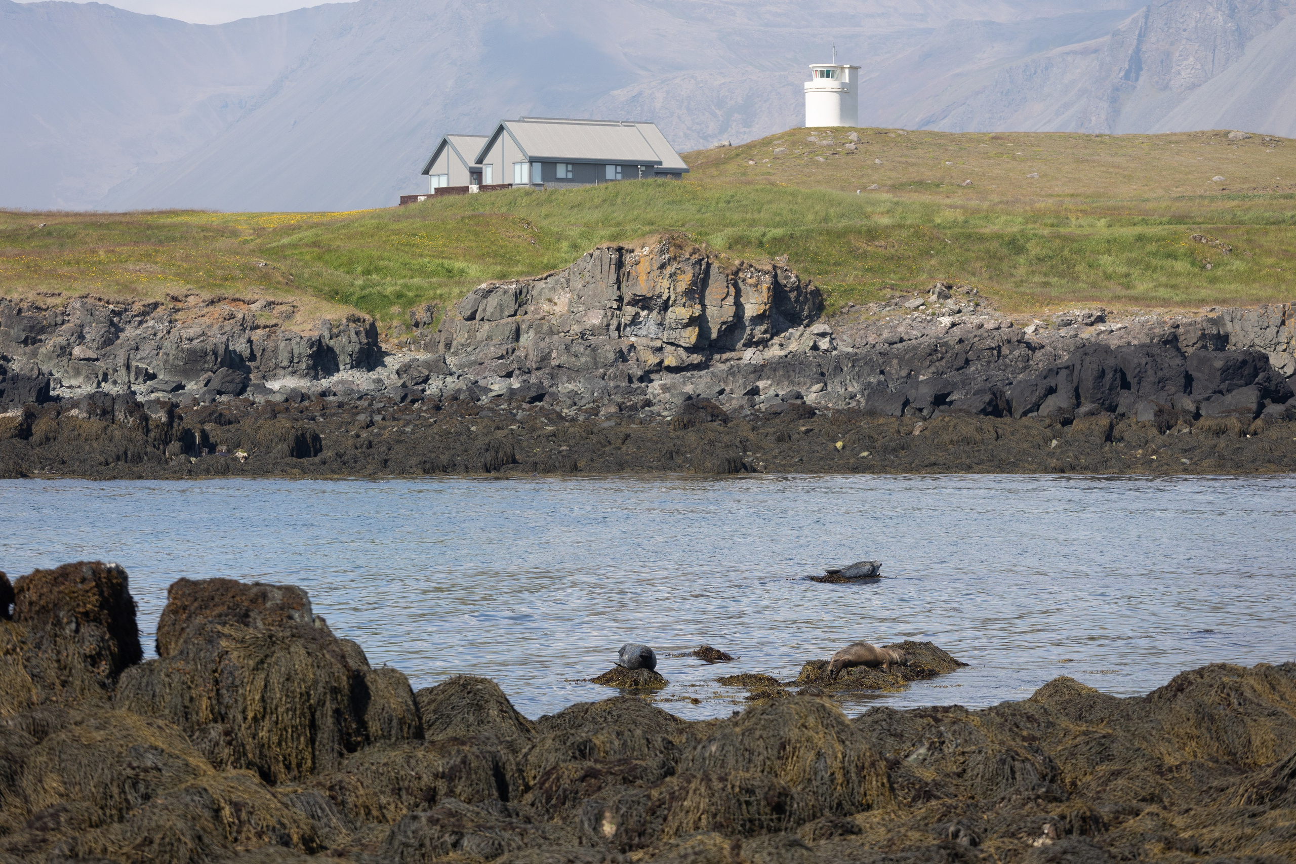 Моя фотопутешествие в Исландию. Евгения Смирнова — Ваш фотограф в Тулузе и на юго-западе Франции