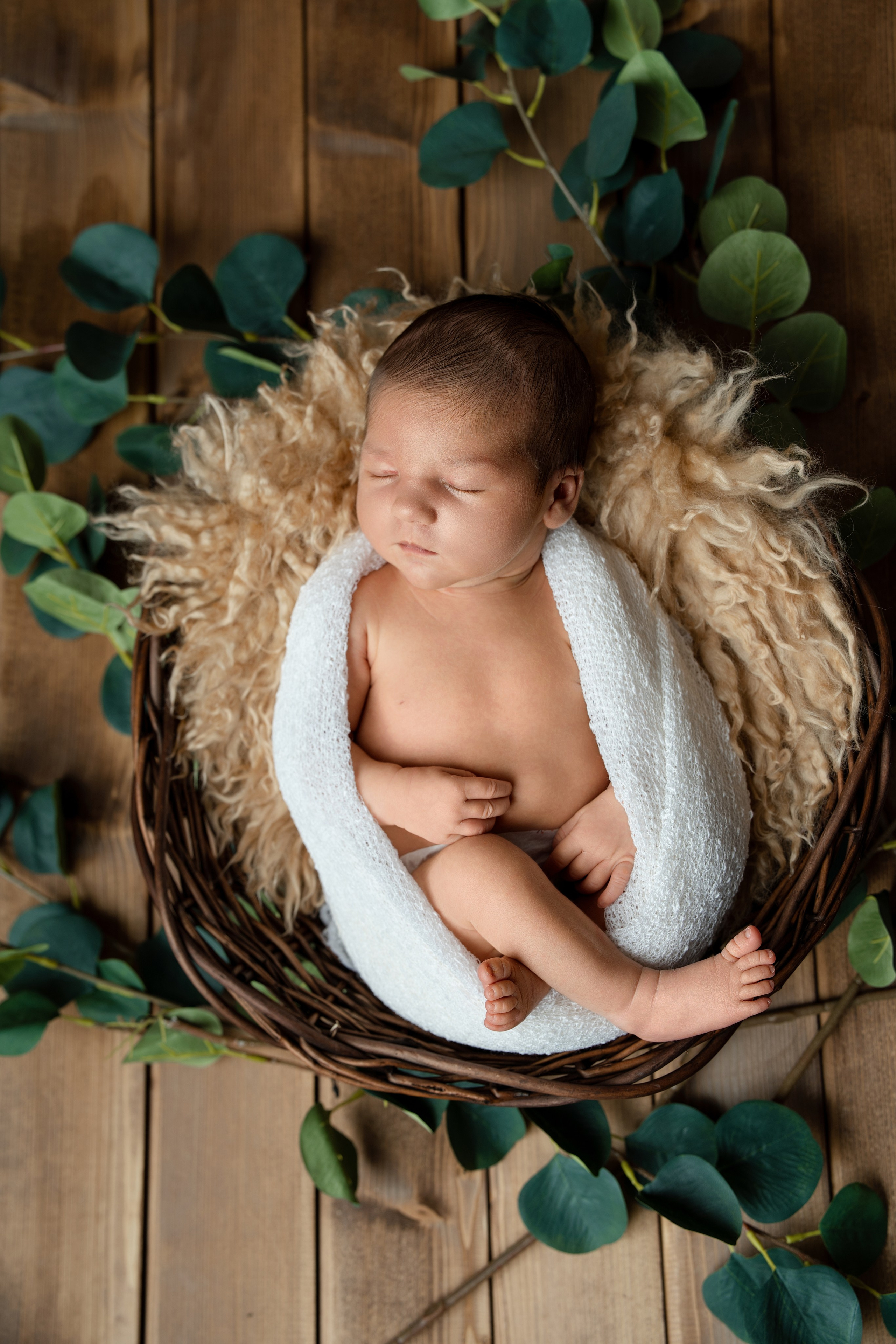 Naissance. Photographer in Paris