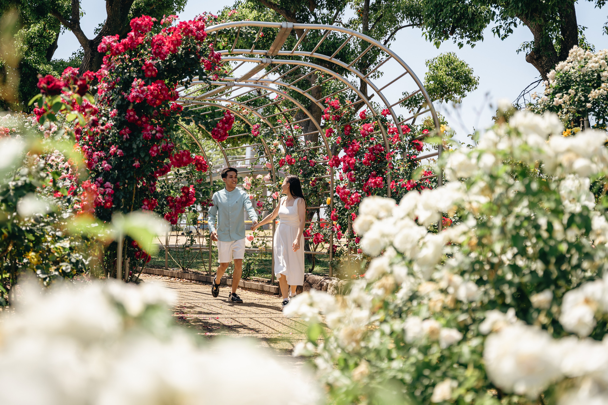 Fukuoka Couple Photoshoot: Roses, Totoro Forest & Sunset Love Story