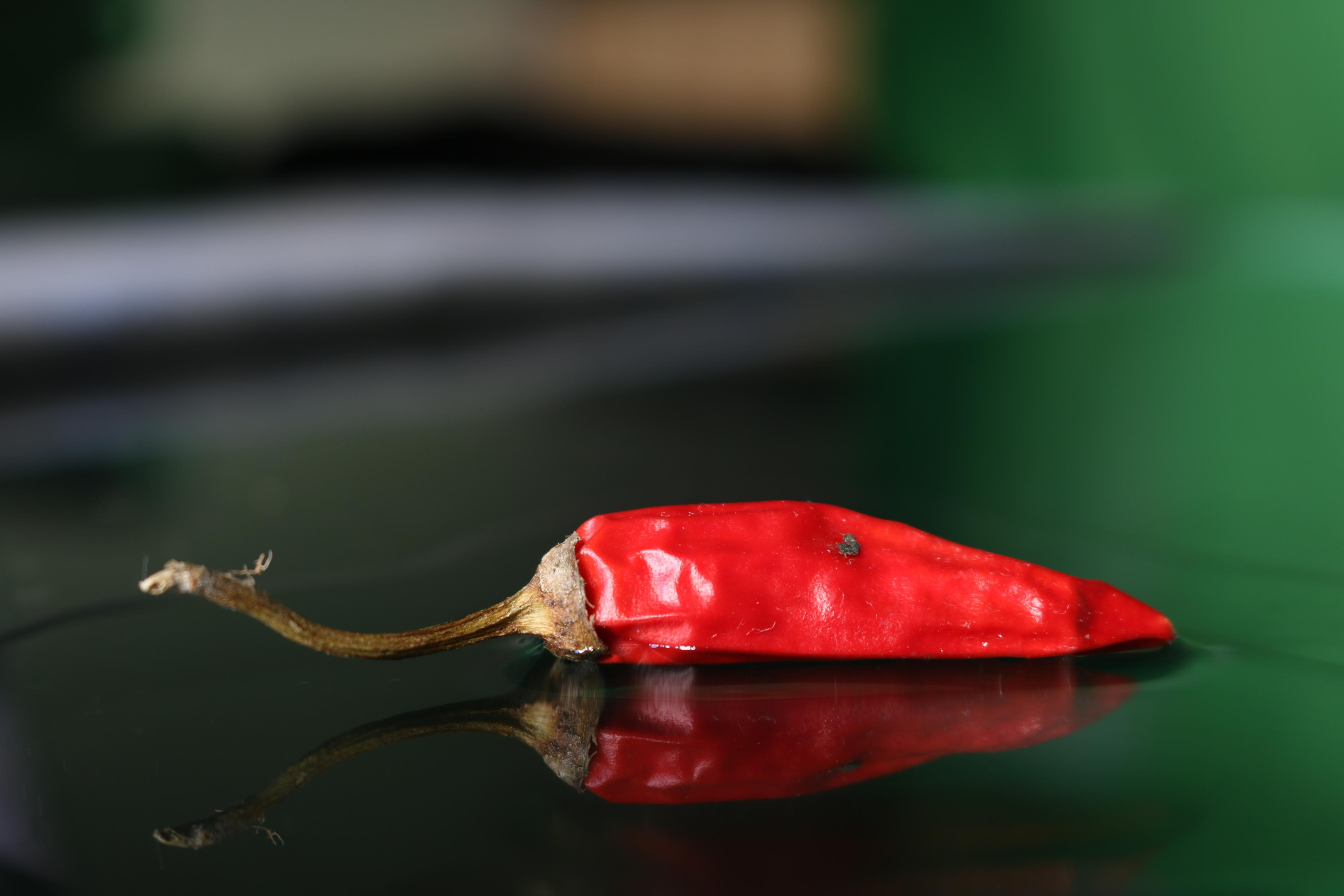 Alicia: fotografía artística y escritura creativa en Asturias