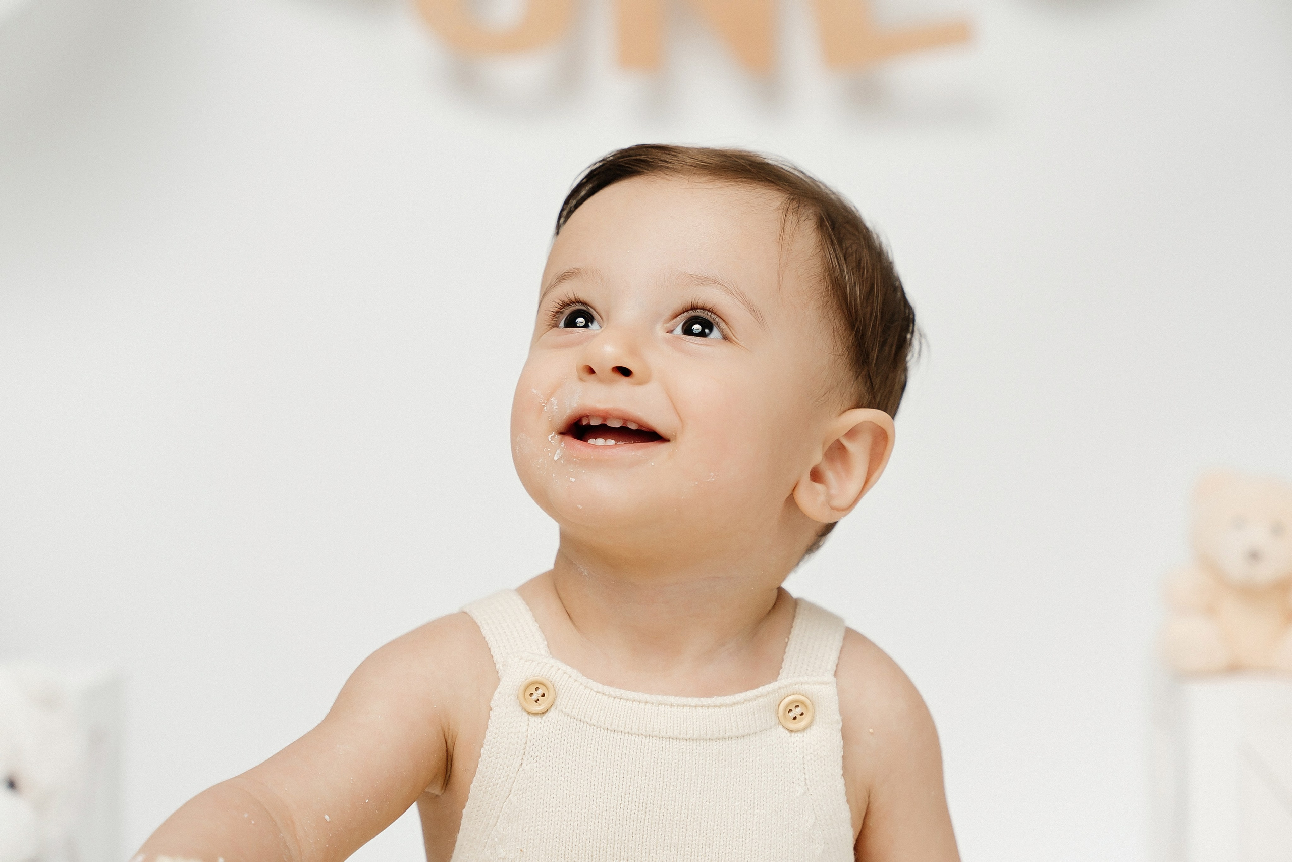 Teddy Bear One Year Cake Smash Photos. Newborn and family photographer. Hills District. Sydney