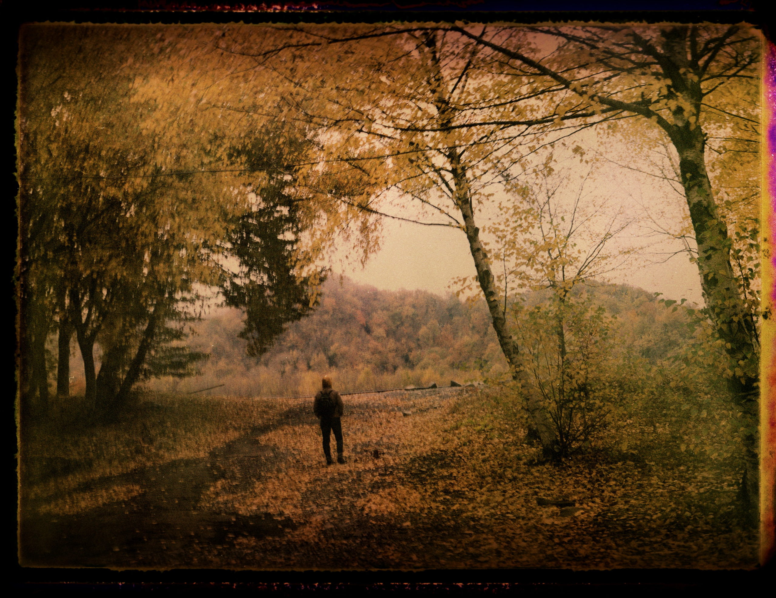 POLAROID. Www.sananaleskerov.com