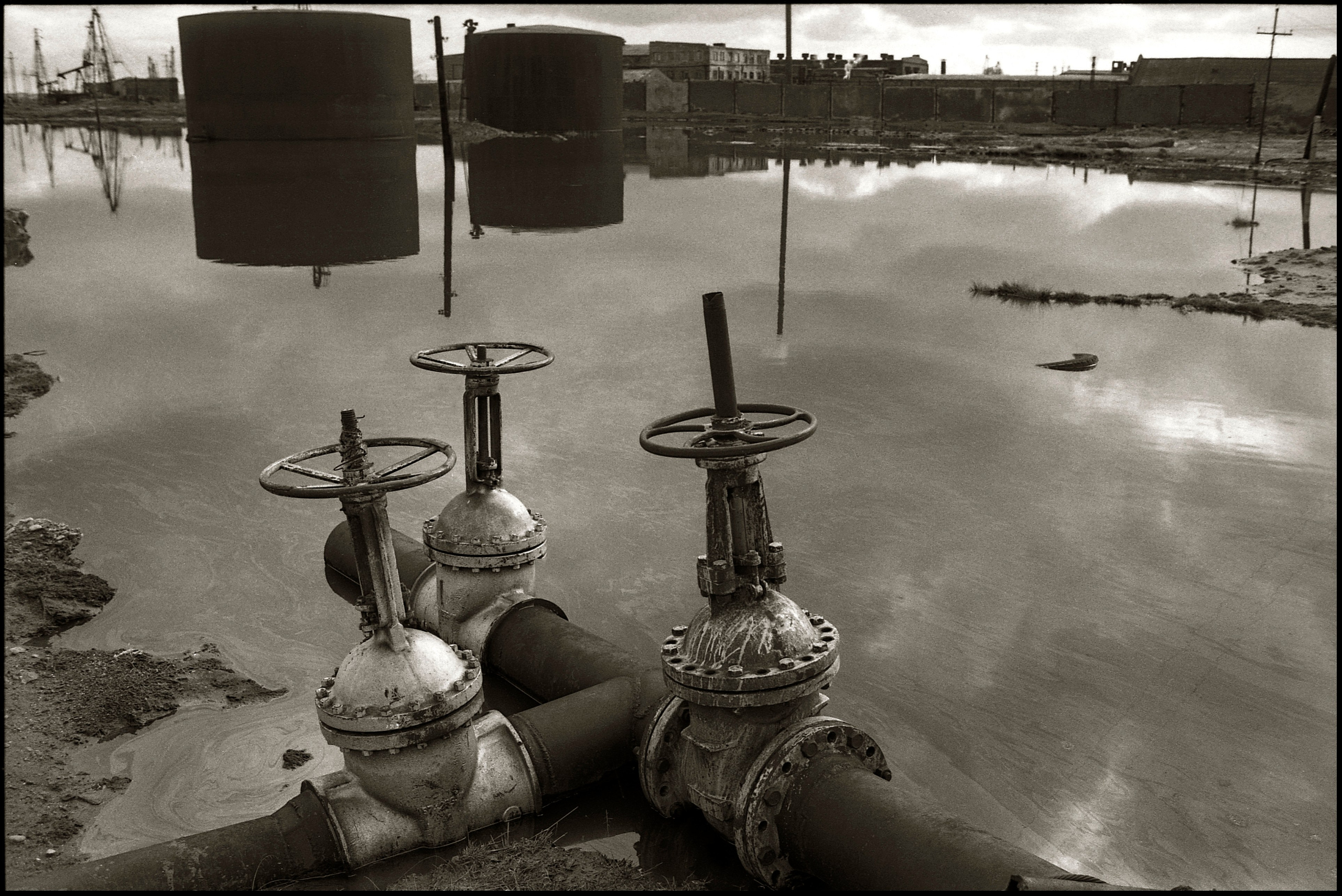 FIELD OF THE MASTER. Www.sananaleskerov.com