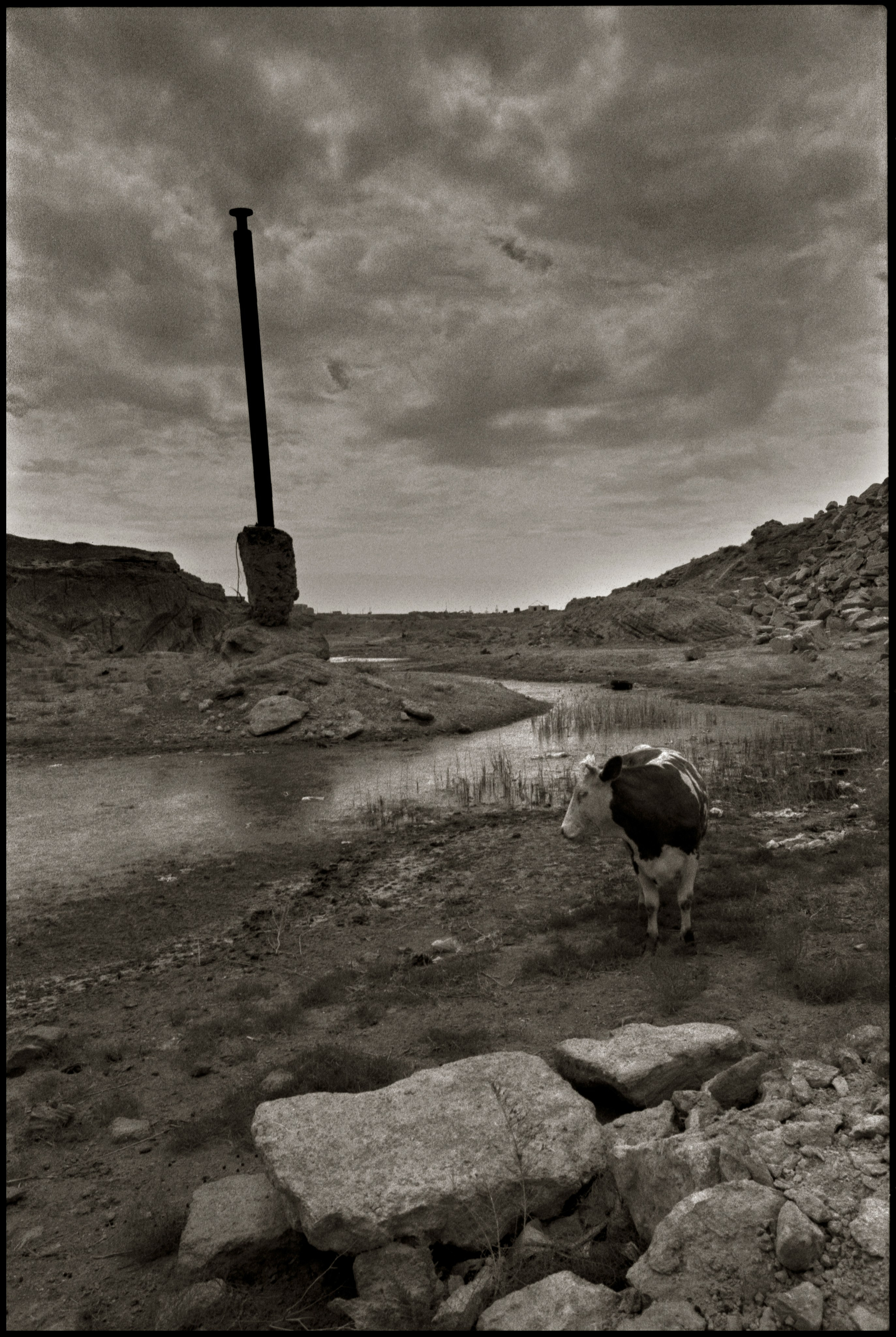 FIELD OF THE MASTER. Www.sananaleskerov.com