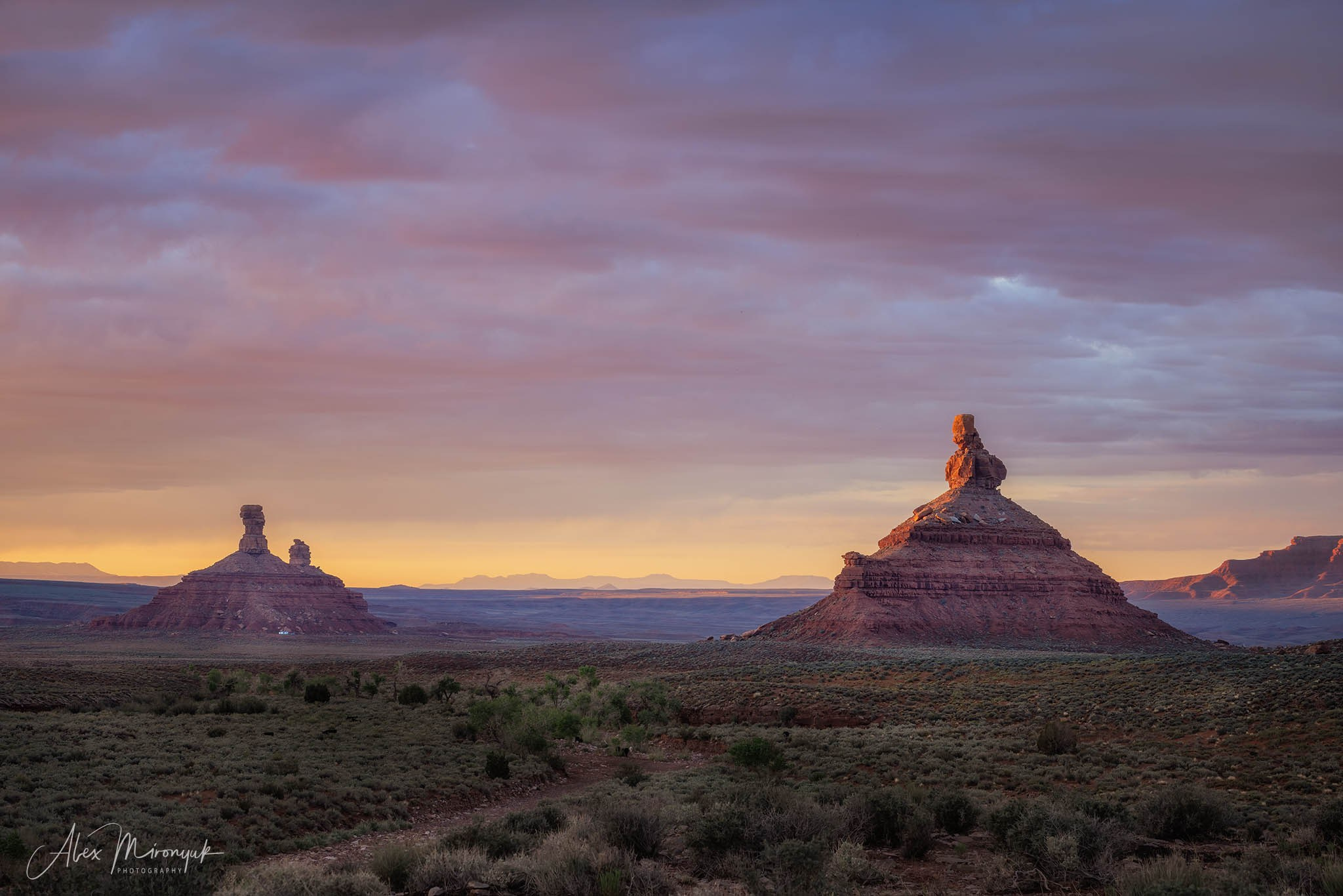 Eagle’s View American Southwest. Pet, Senior, Landscape, portrait studio, photographer in Miami and Sou