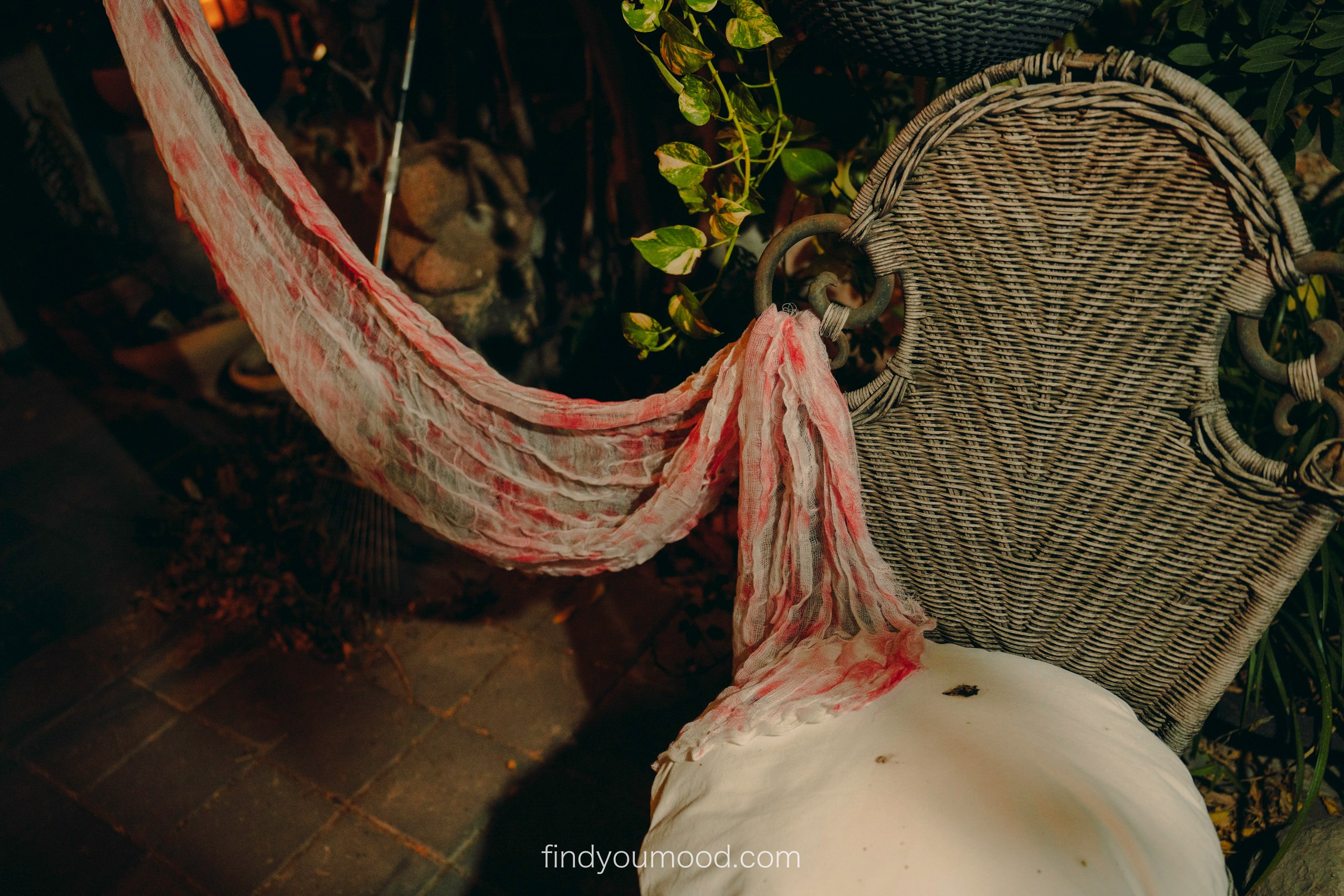 Halloween. Photo and video shooting