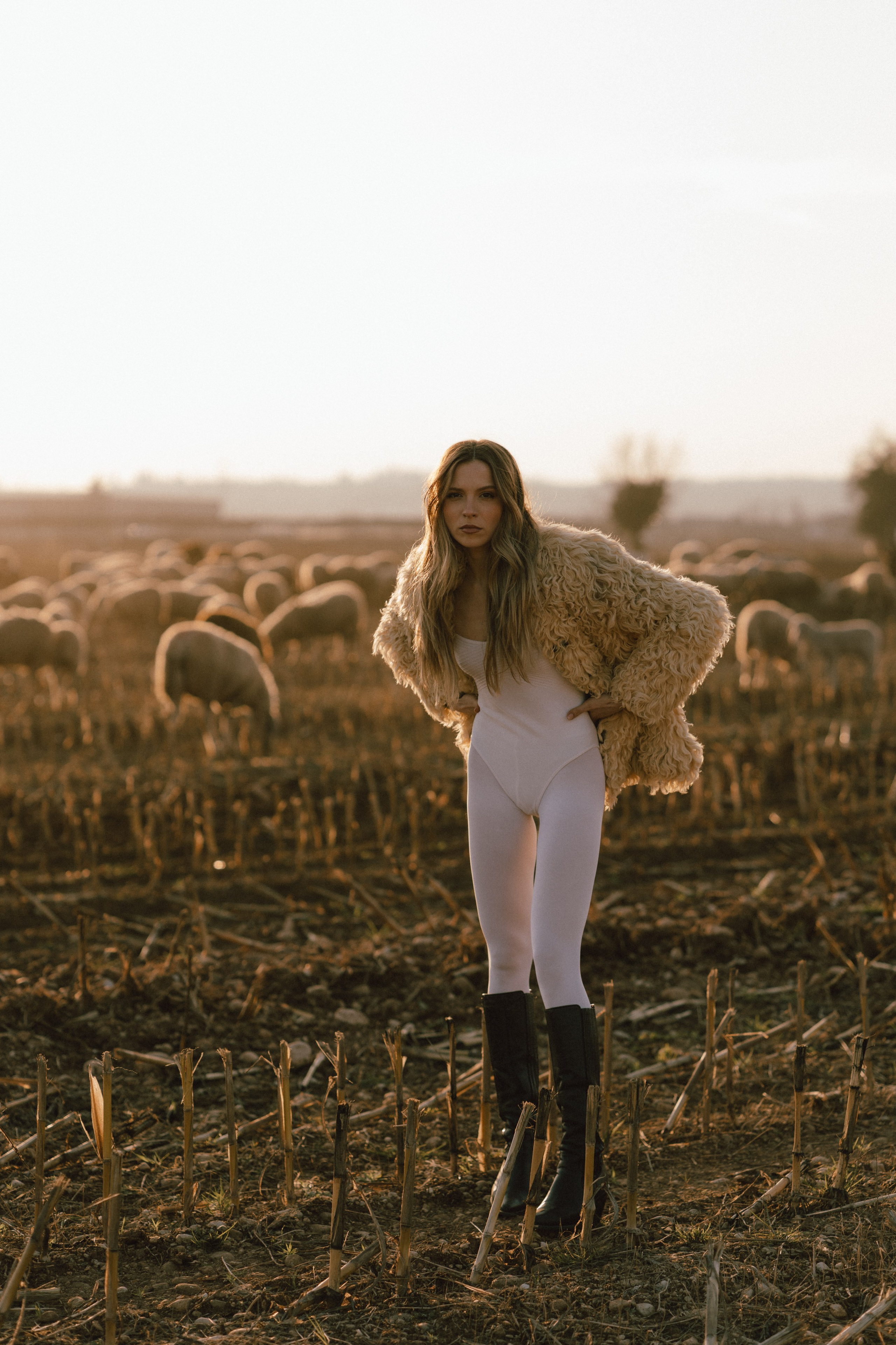 A thousand sheeps. Diana Fedrigo | Fotografa matrimoni in Italia