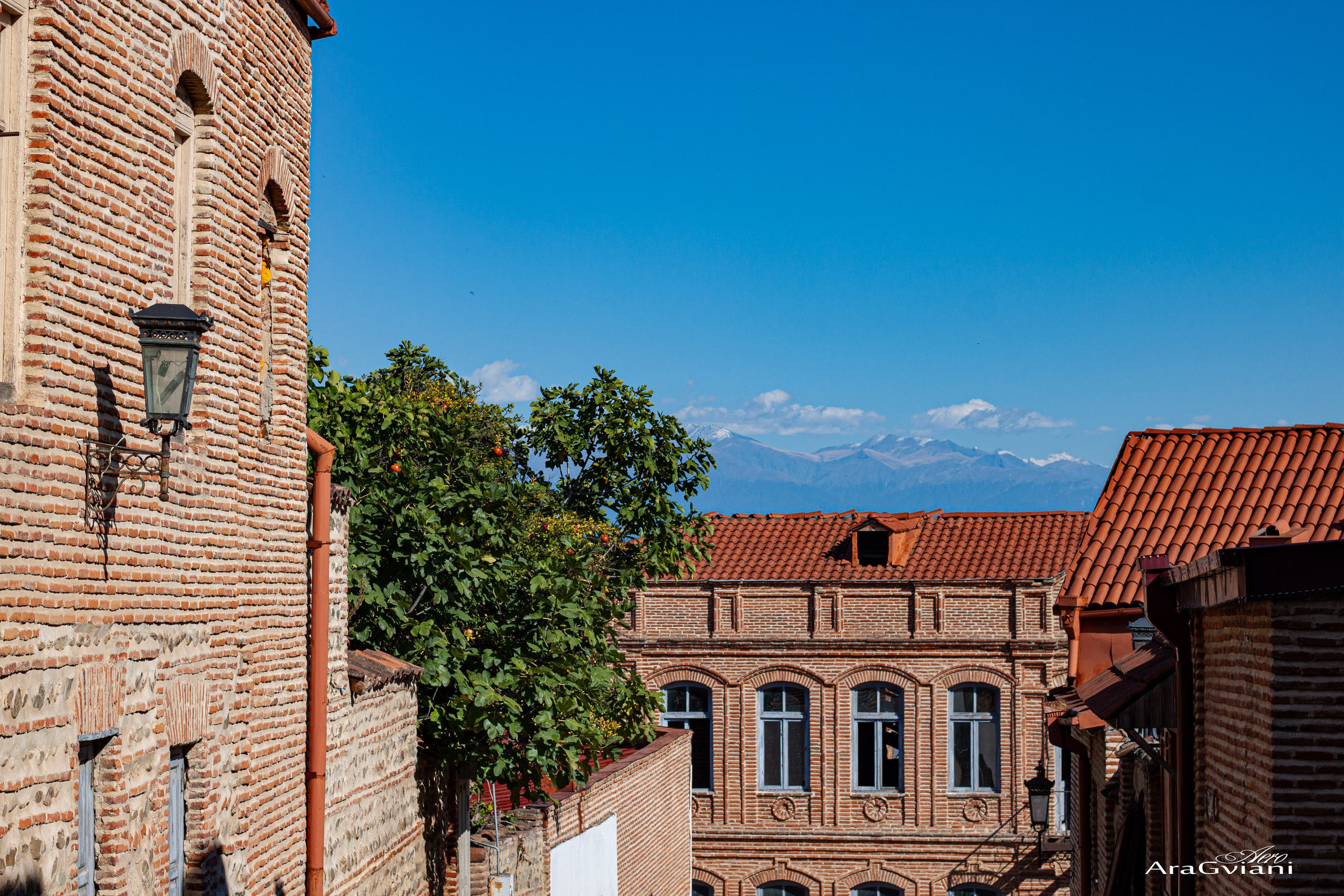 სიღნაღი გადარბენით. FramefreeMan