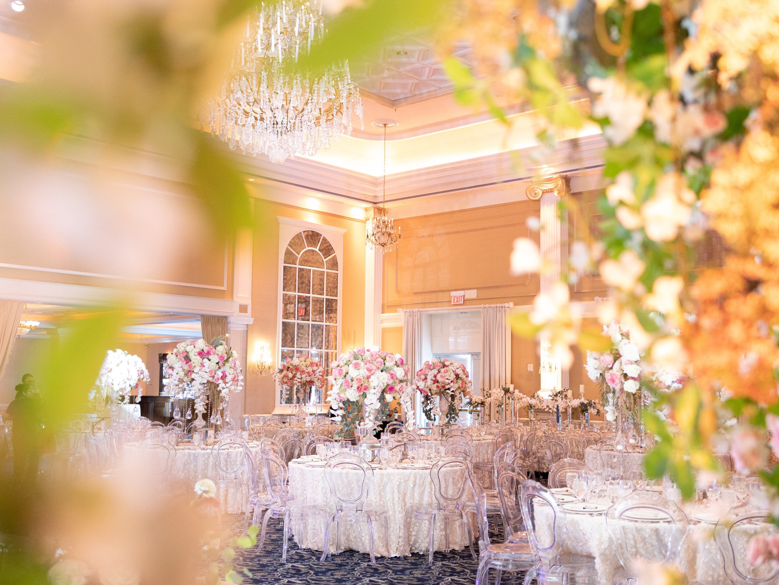 Jacqueline and Daniel. Wedding Photo & Video